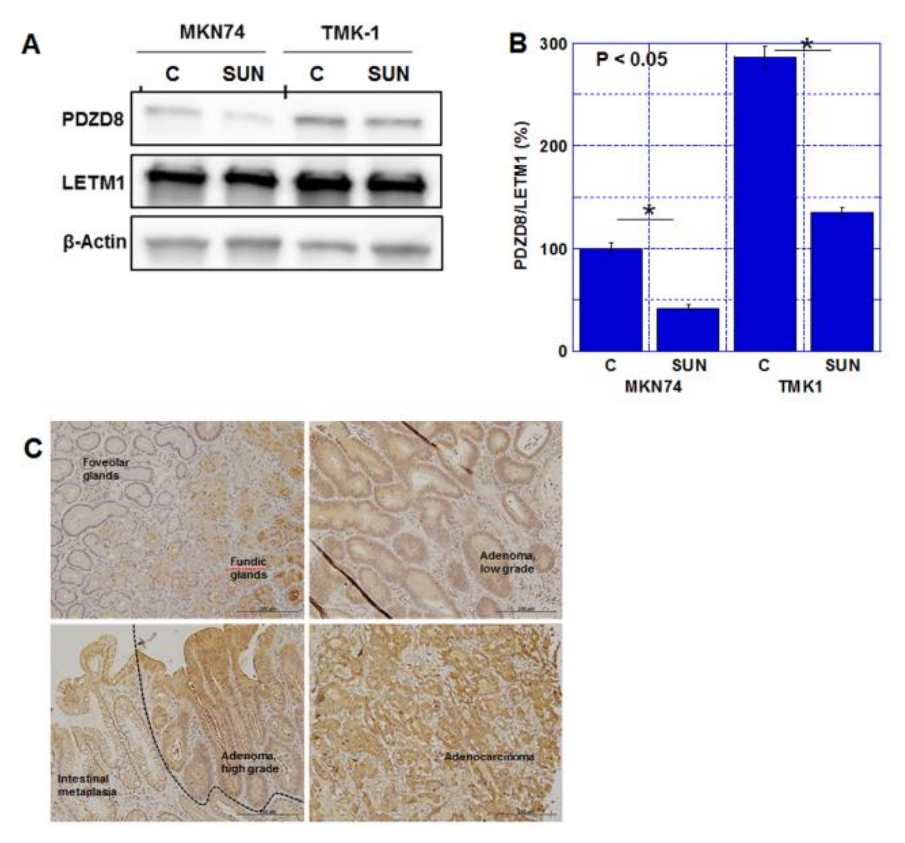 Ijms 23 04002 g003 550