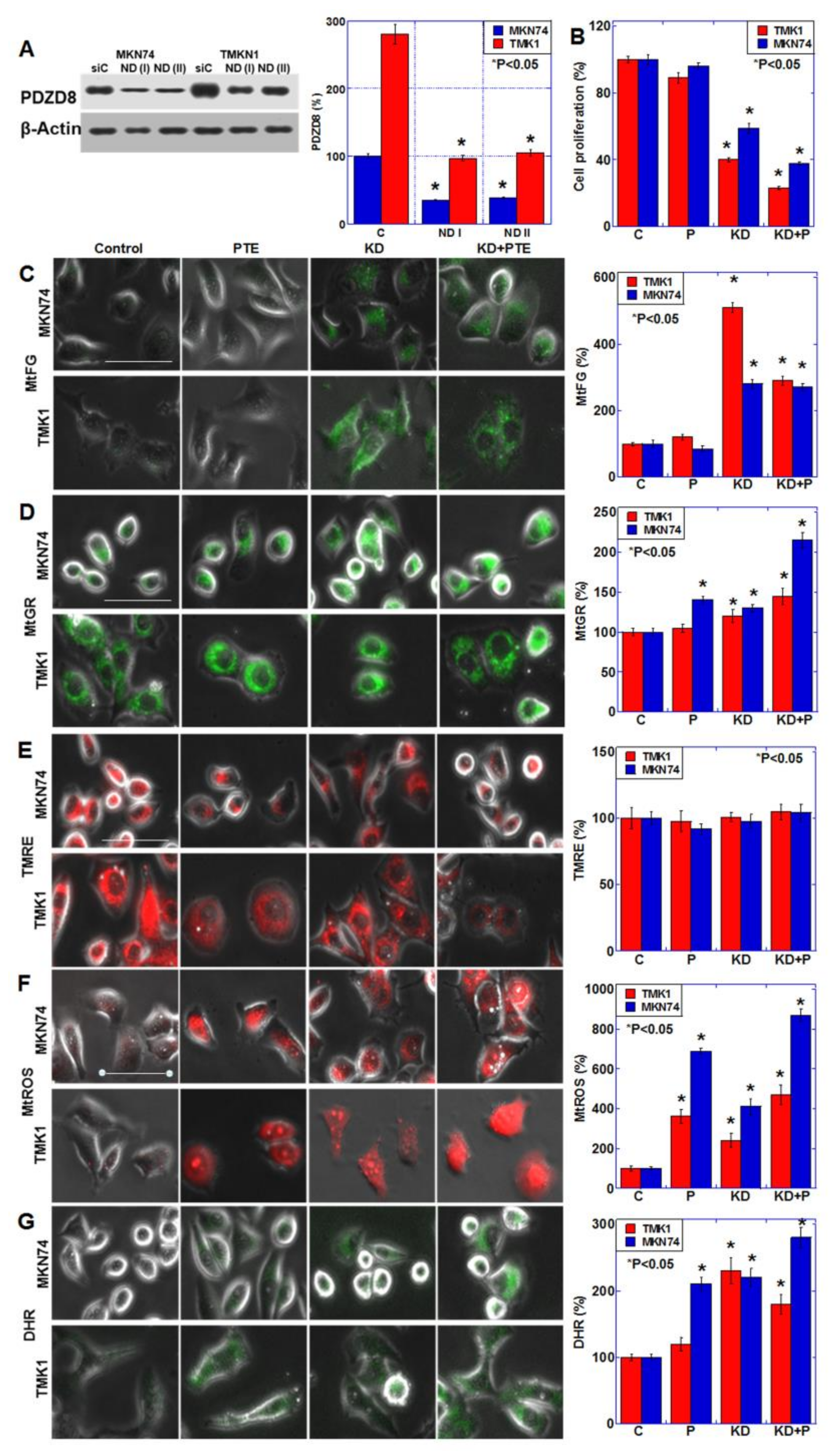 Ijms 23 04002 g004 550
