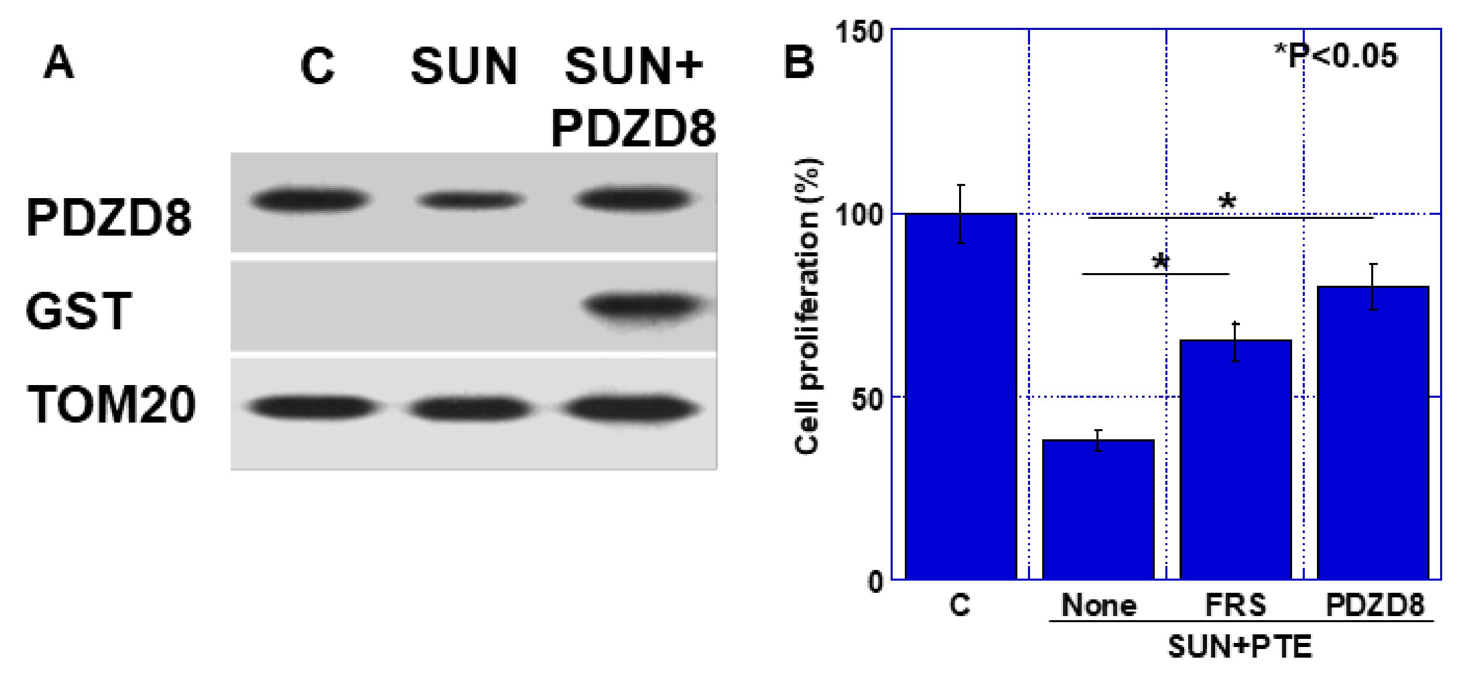 Ijms 23 04002 g006 550