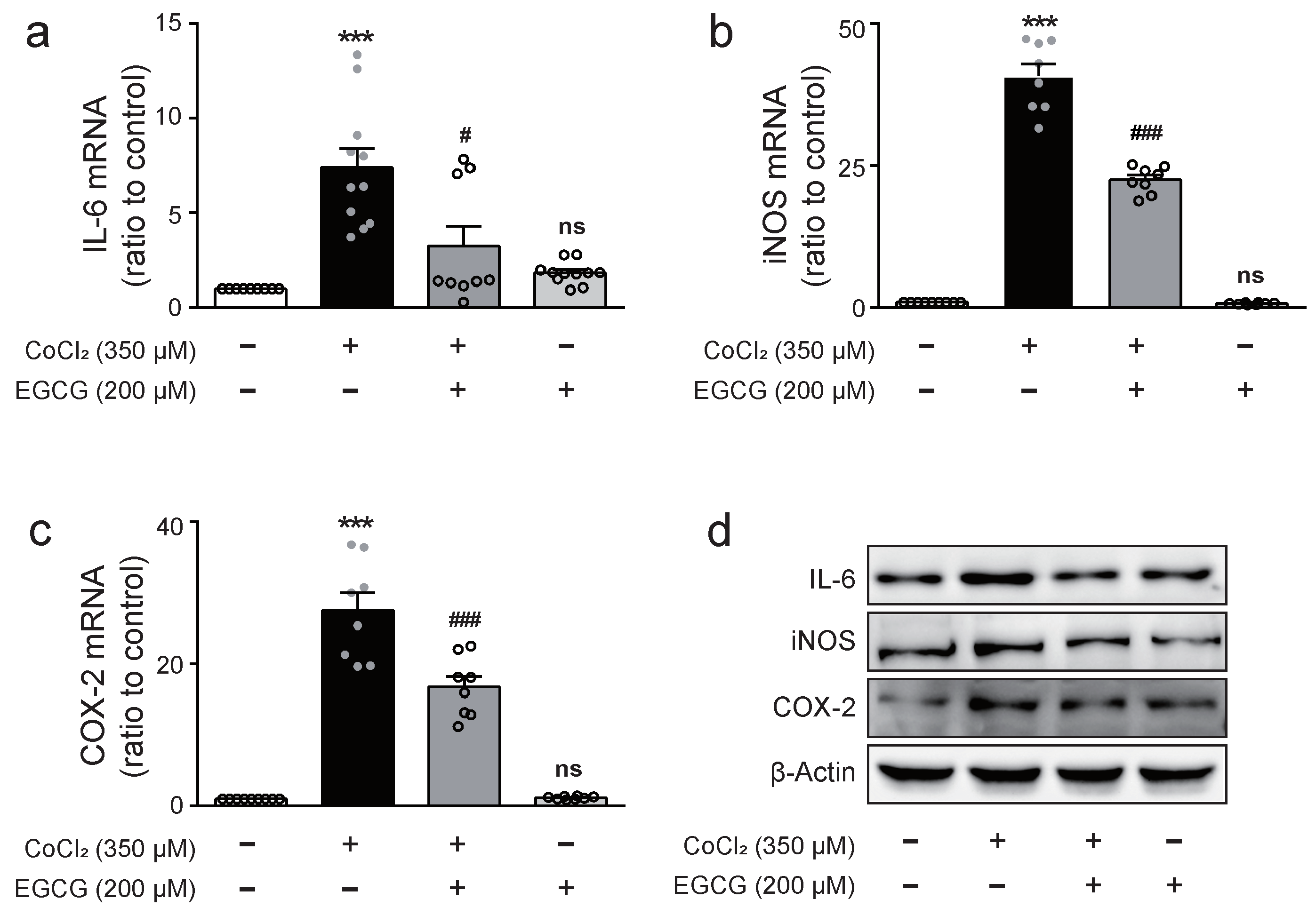 Ijms 23 04004 g002 550