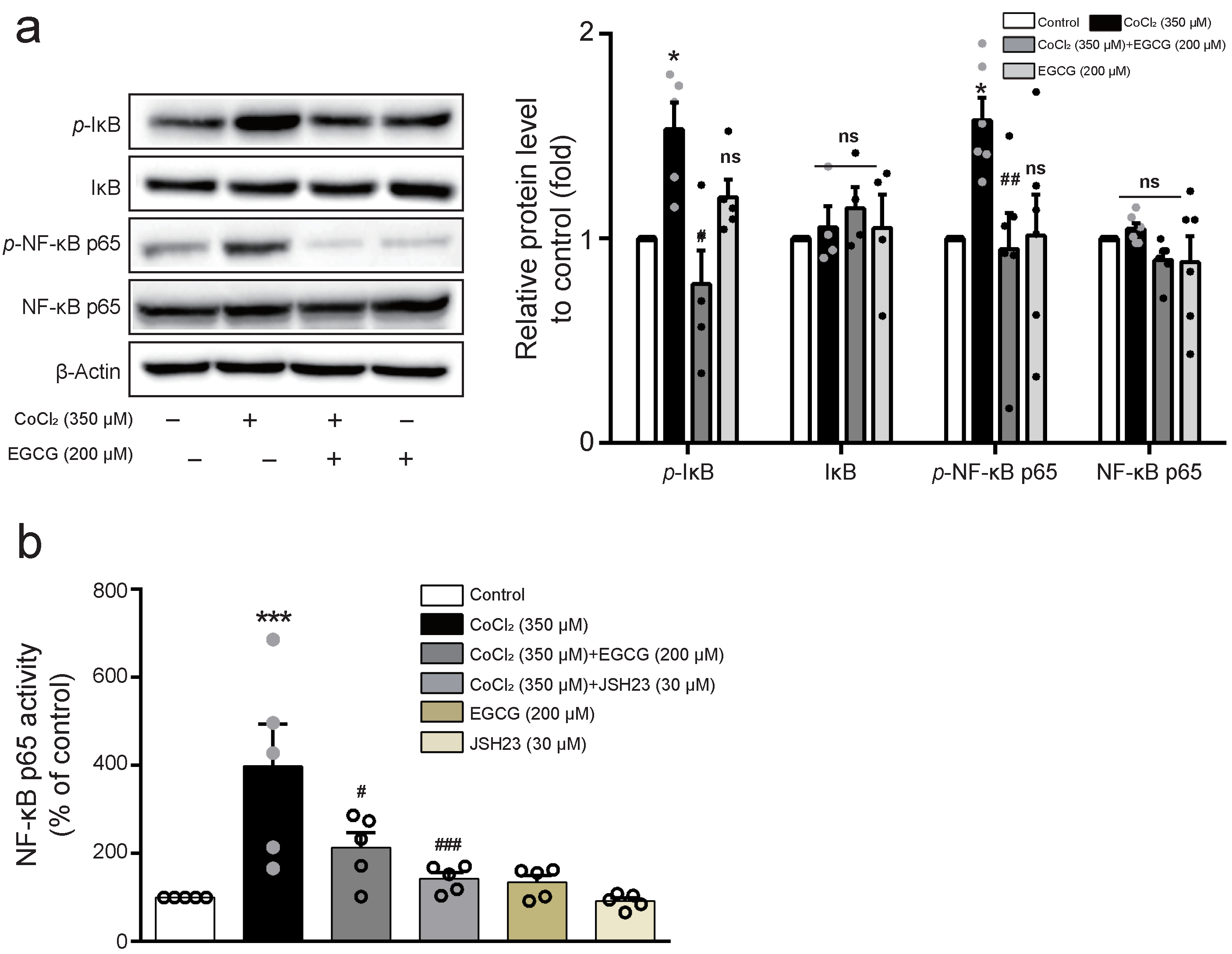 Ijms 23 04004 g003 550
