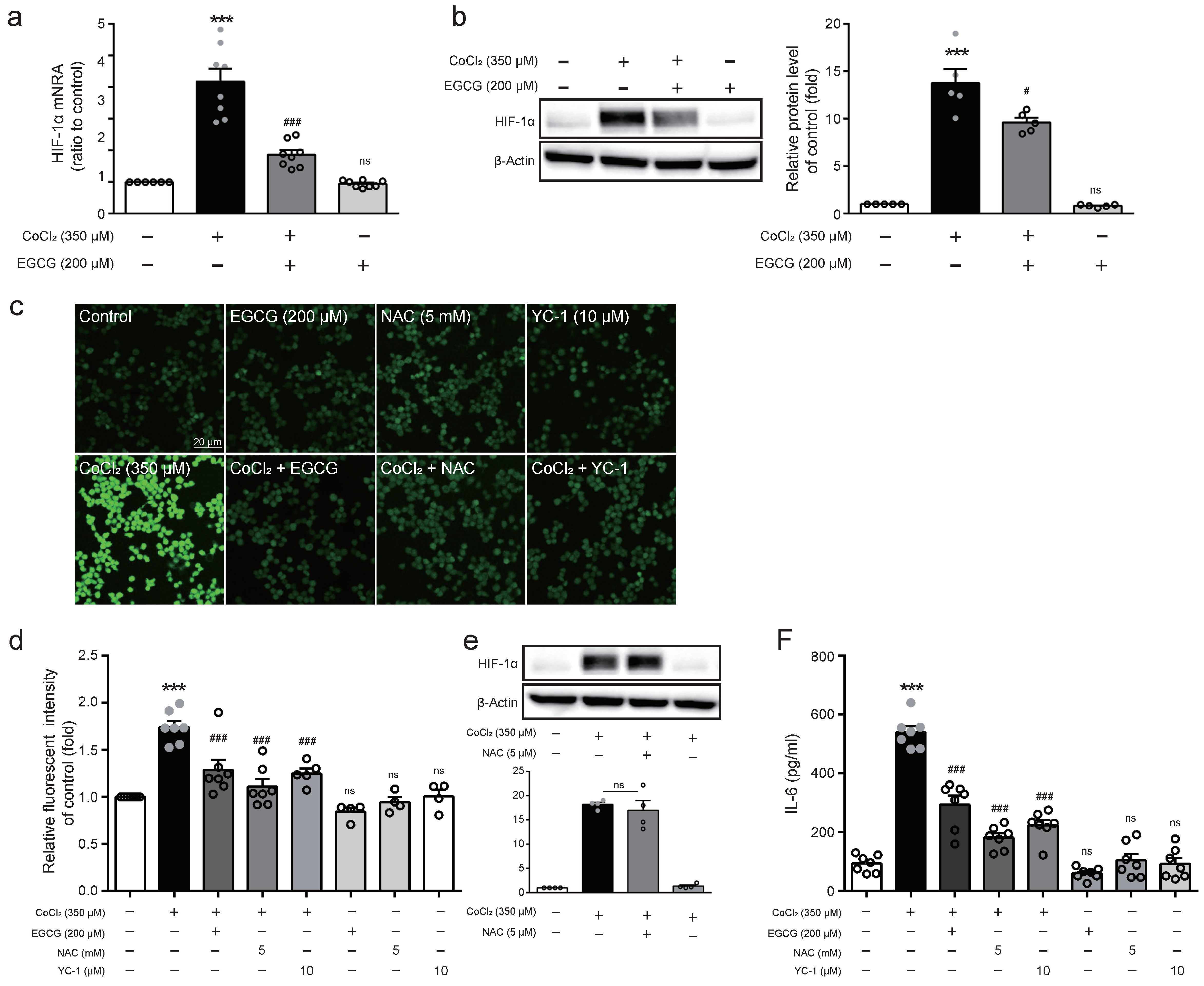 Ijms 23 04004 g004 550
