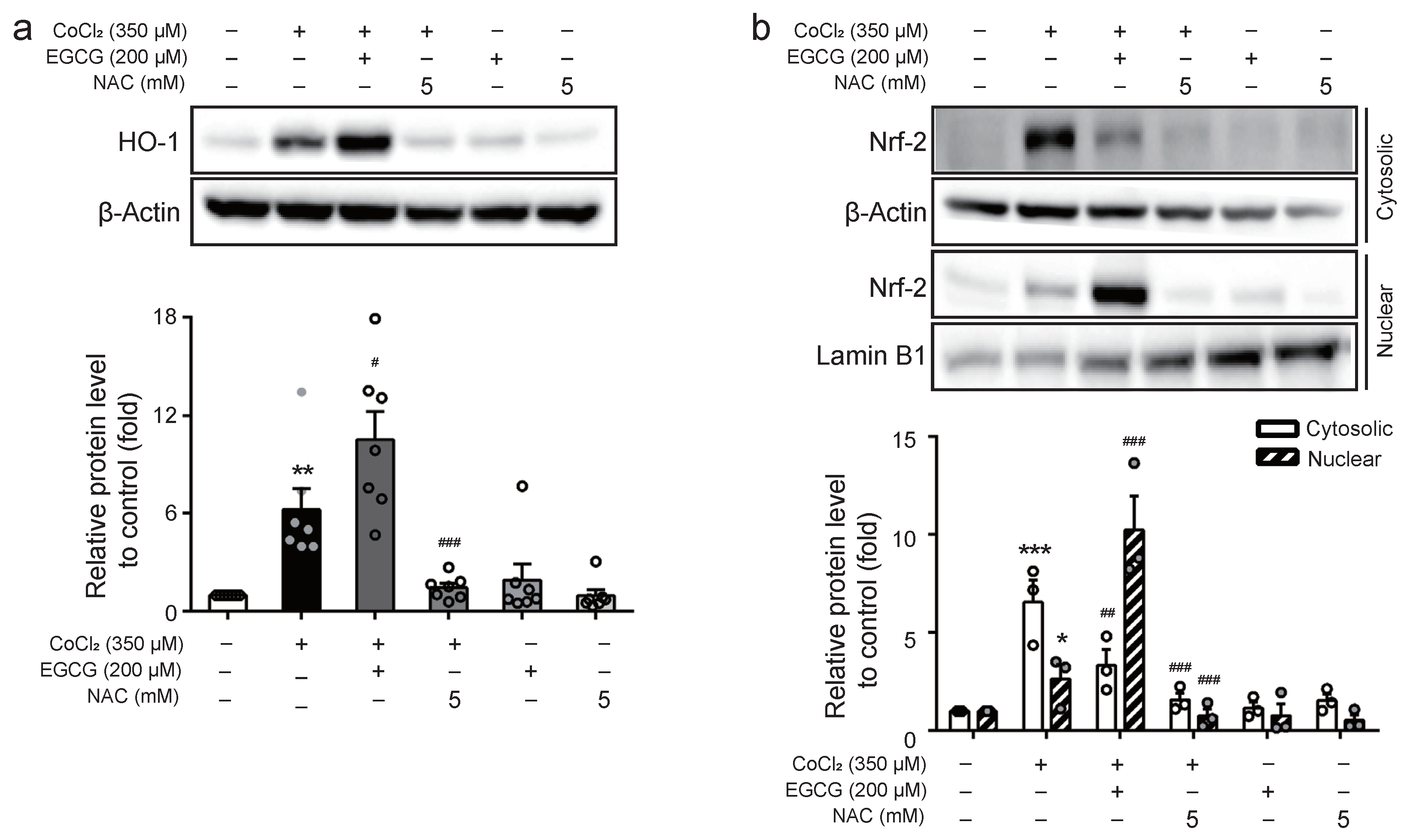 Ijms 23 04004 g005 550
