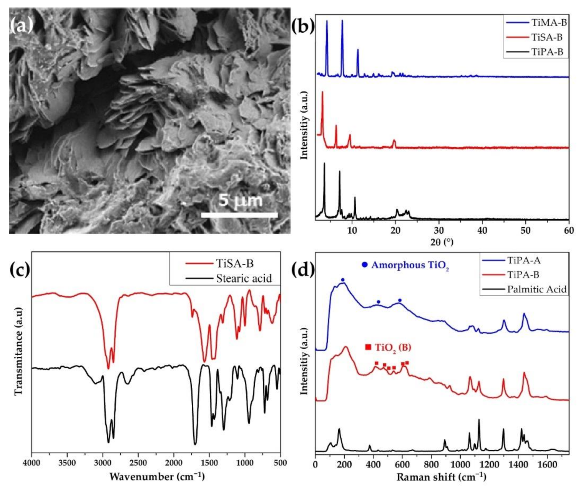 Ijms 23 04006 g003 550