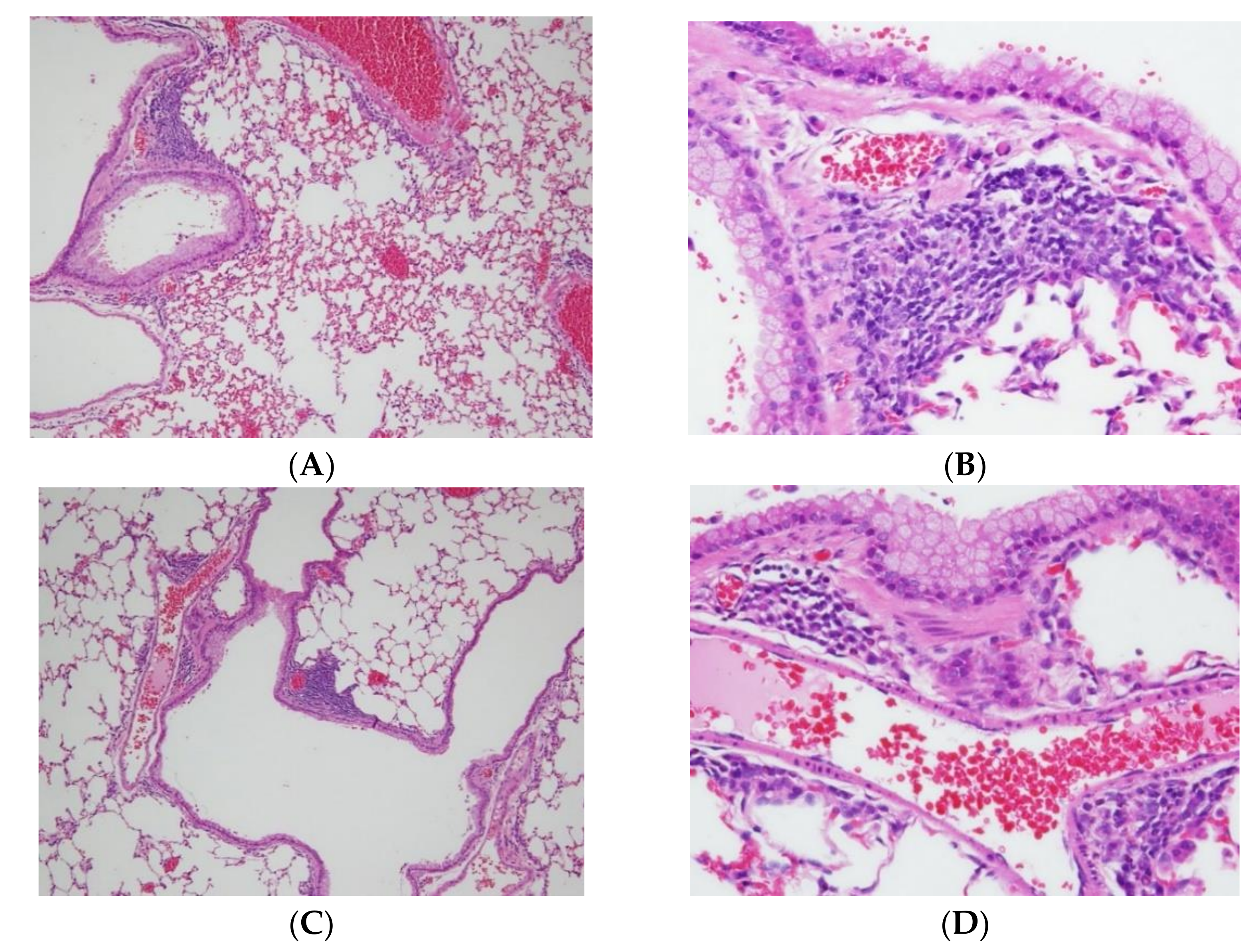 Ijms 23 04011 g003a 550