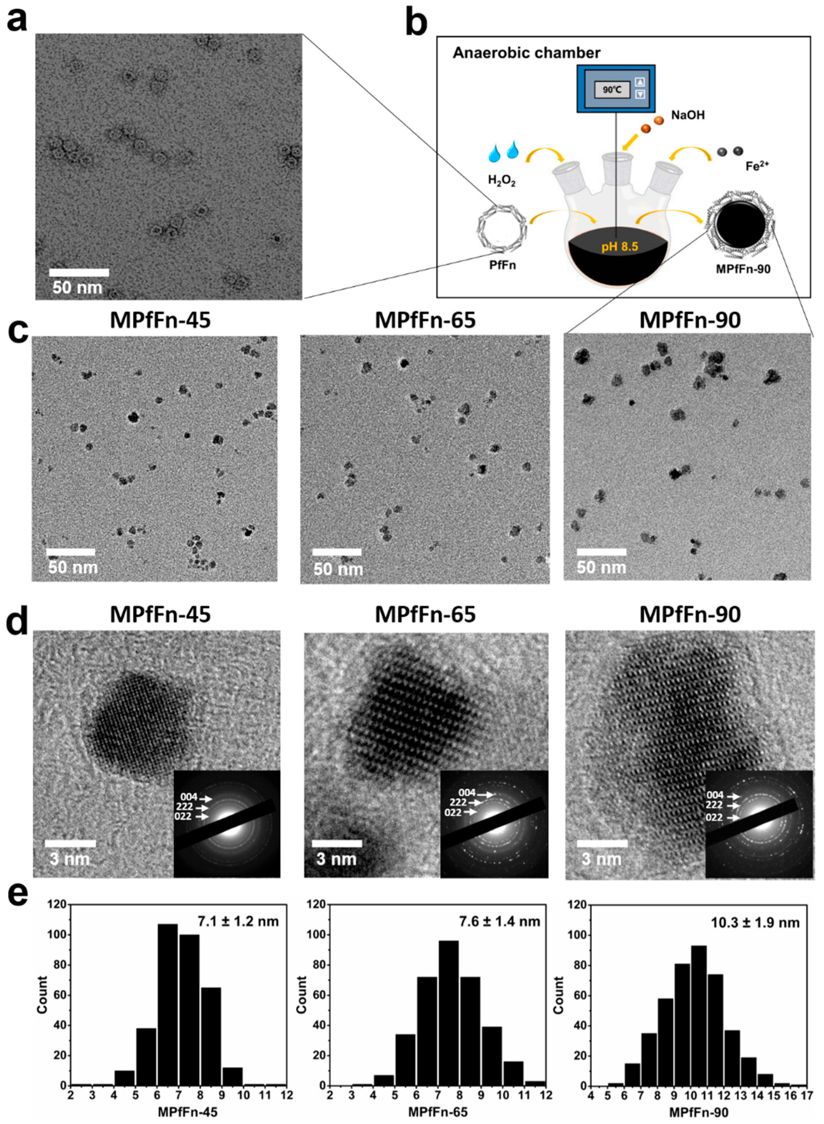 Ijms 23 04012 g001 Ijms 23 04012 g001