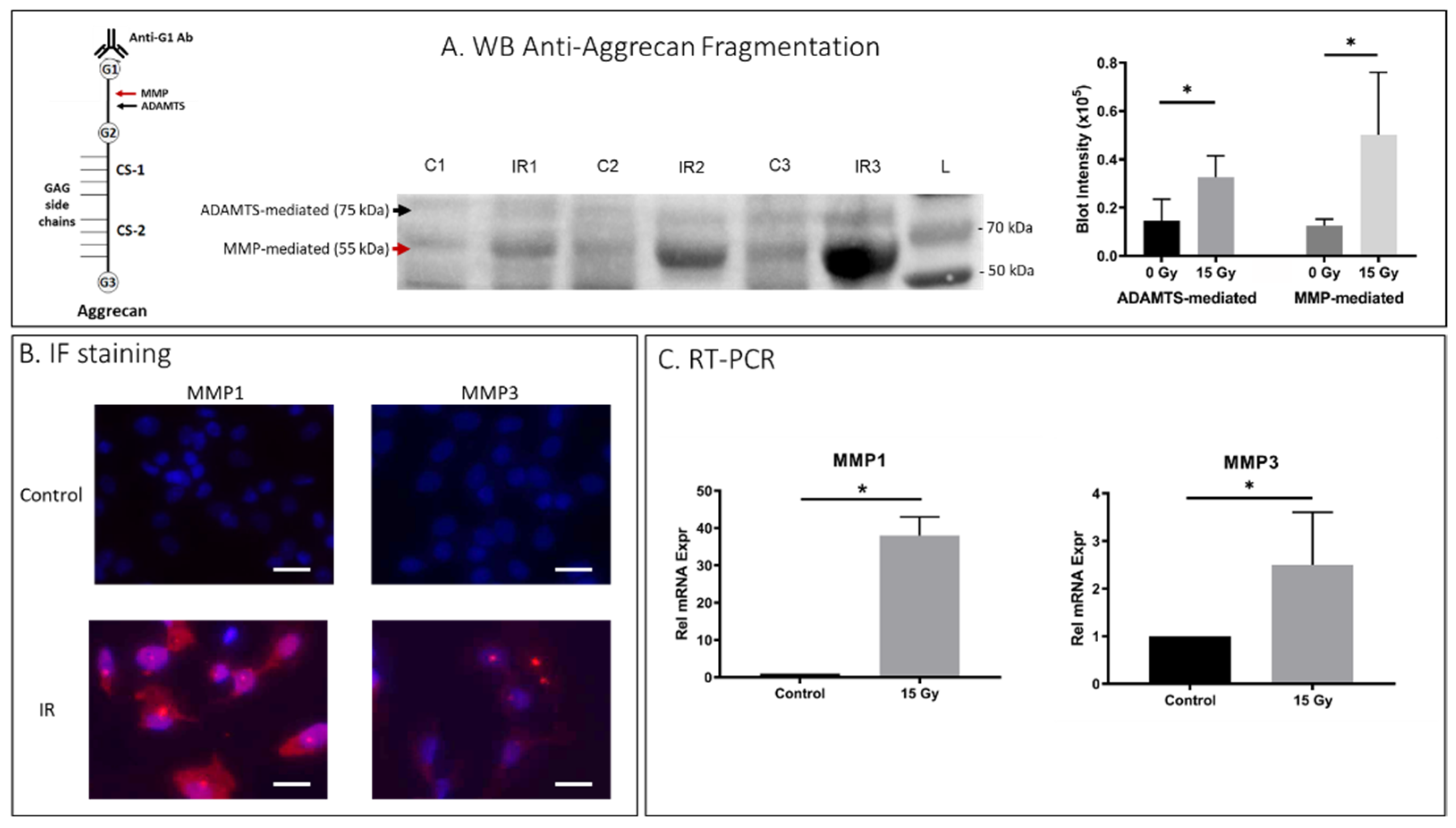 Ijms 23 04014 g002 550