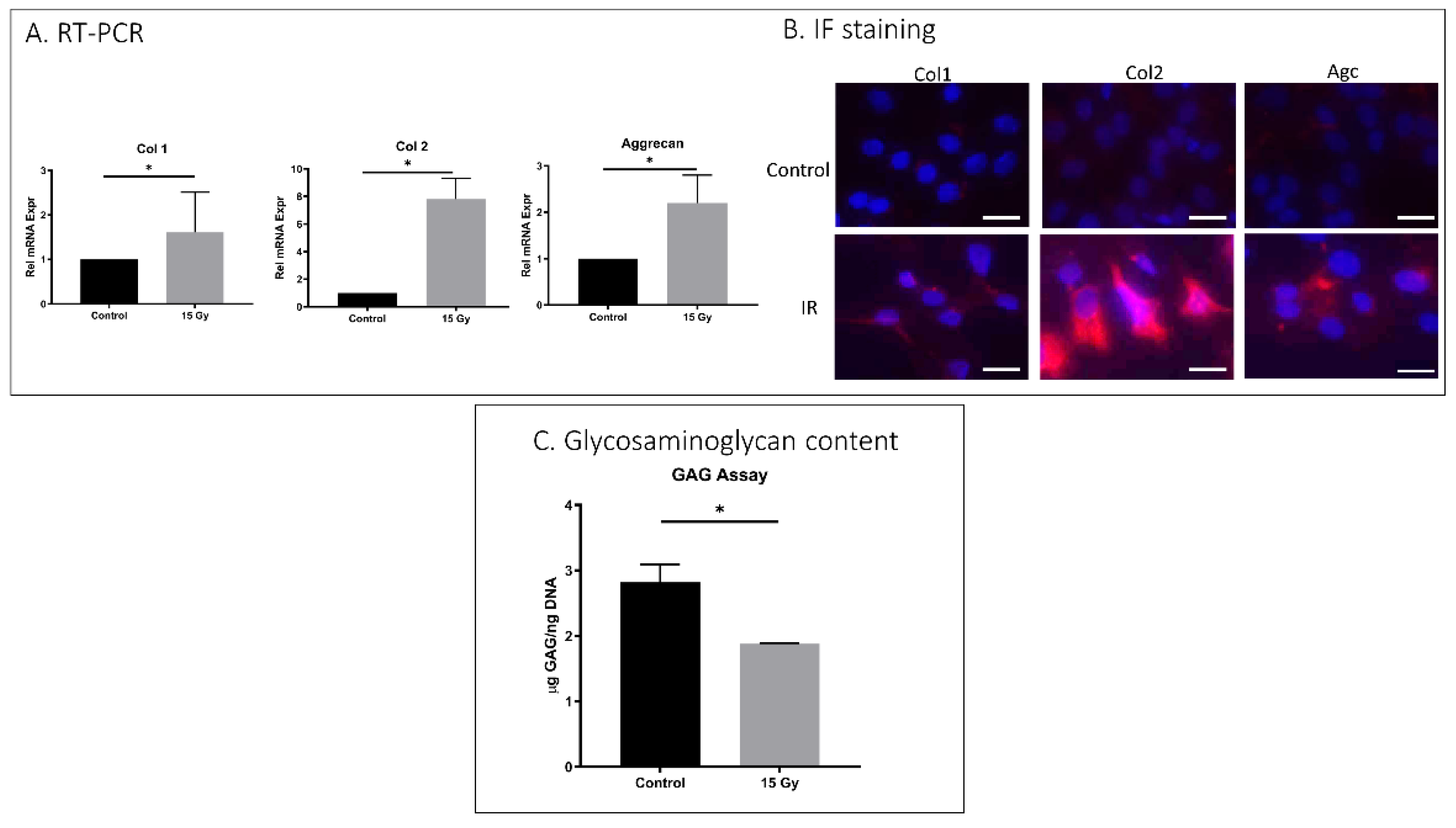 Ijms 23 04014 g003 550