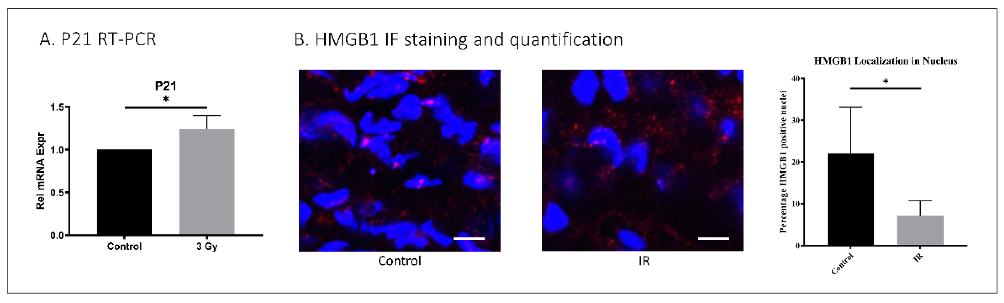 Ijms 23 04014 g004 550