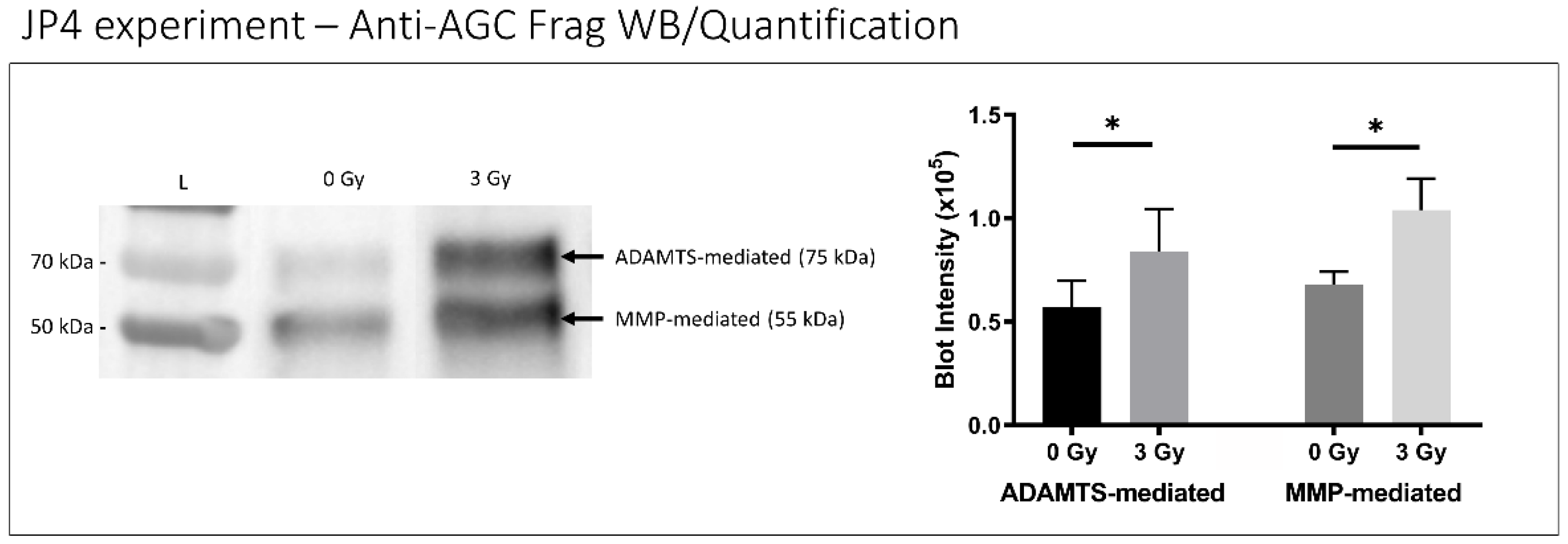 Ijms 23 04014 g006 550