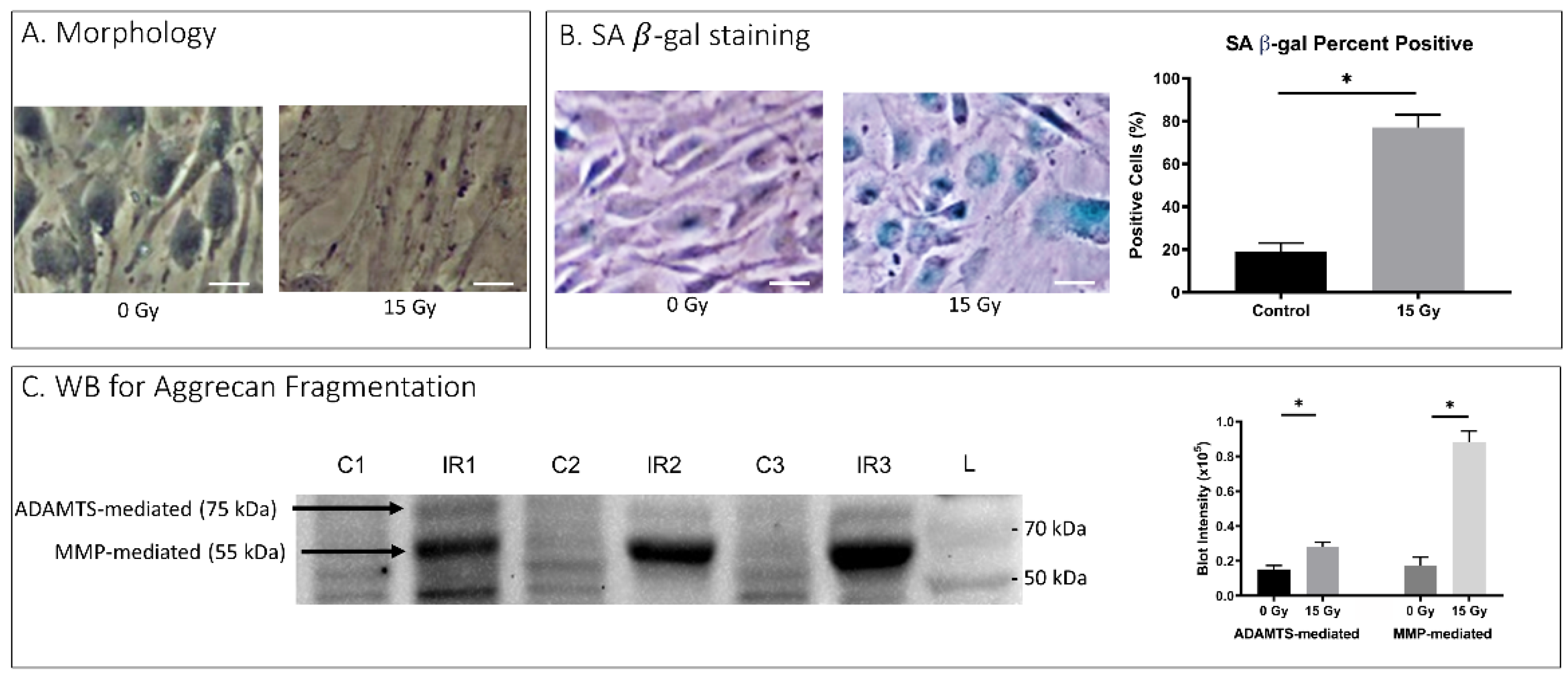 Ijms 23 04014 g0a1 550