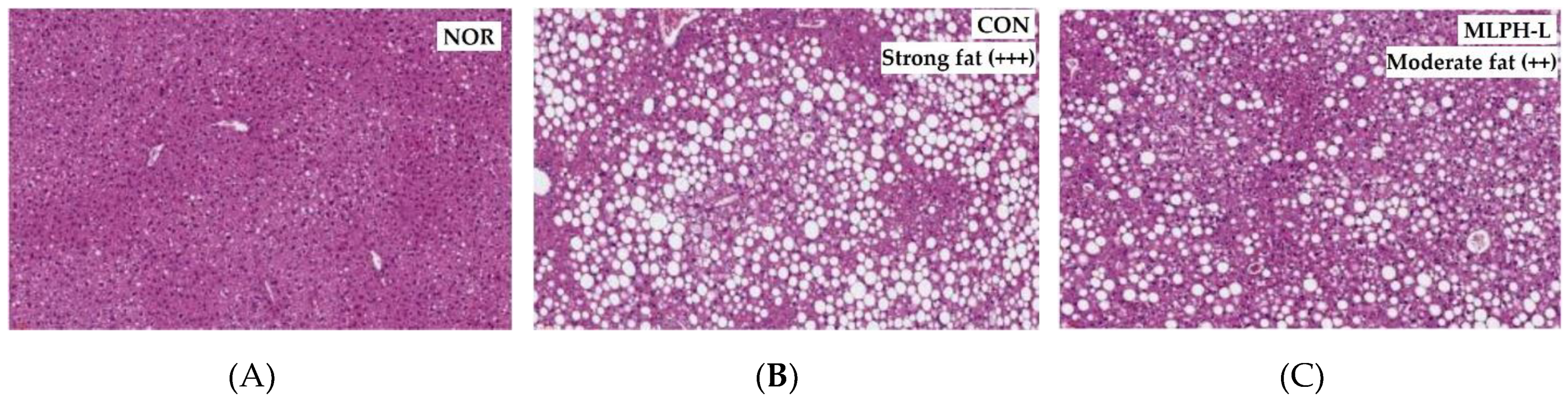 Ijms 23 04015 g004a Ijms 23 04015 g004a