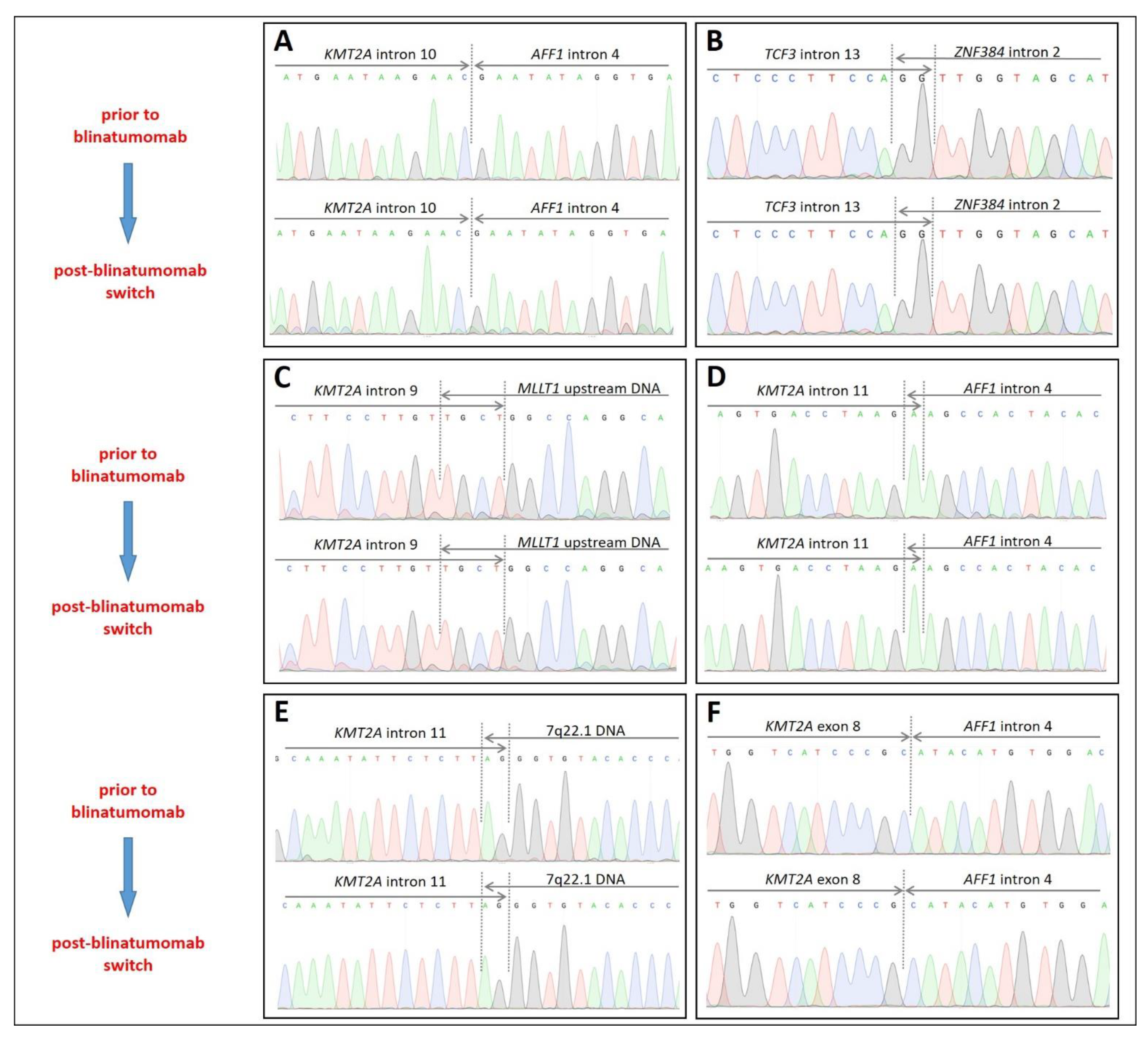 Ijms 23 04019 g004 550