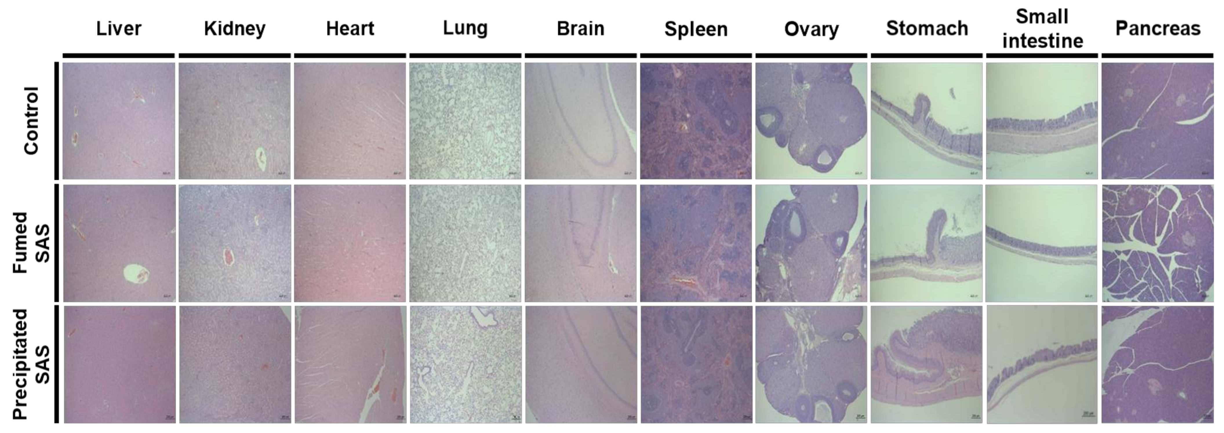 Ijms 23 04023 g008 550