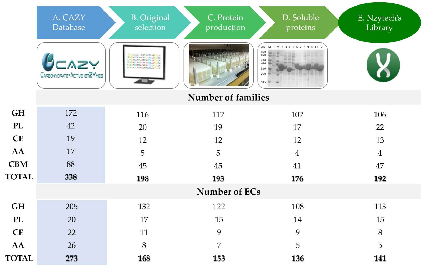 Ijms 23 04024 g004 Ijms 23 04024 g004
