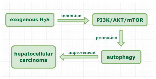 The Role of Hydrogen Sulfide Regulation of Autophagy in Liver Disorders