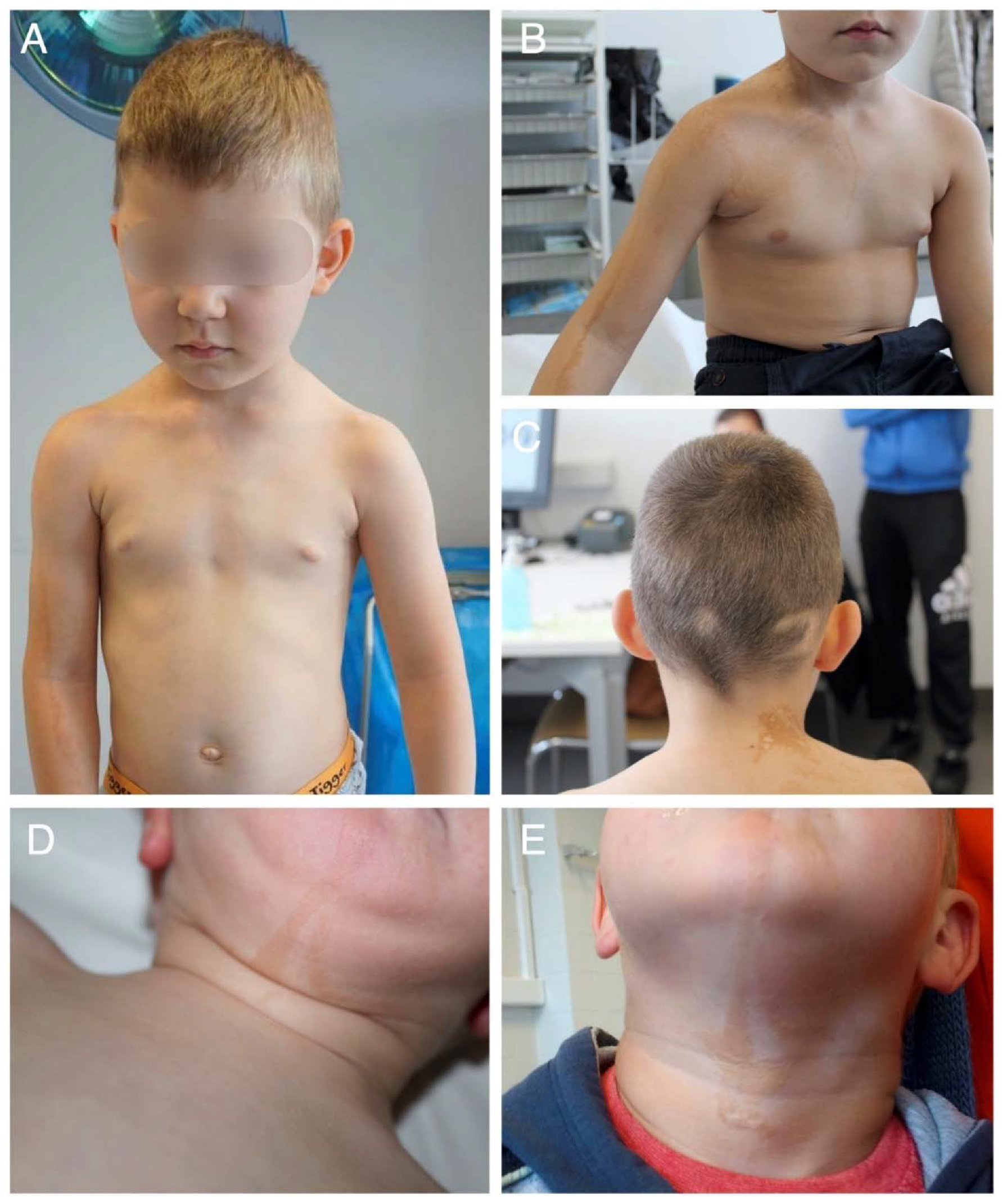 Ijms 23 04036 g001 550