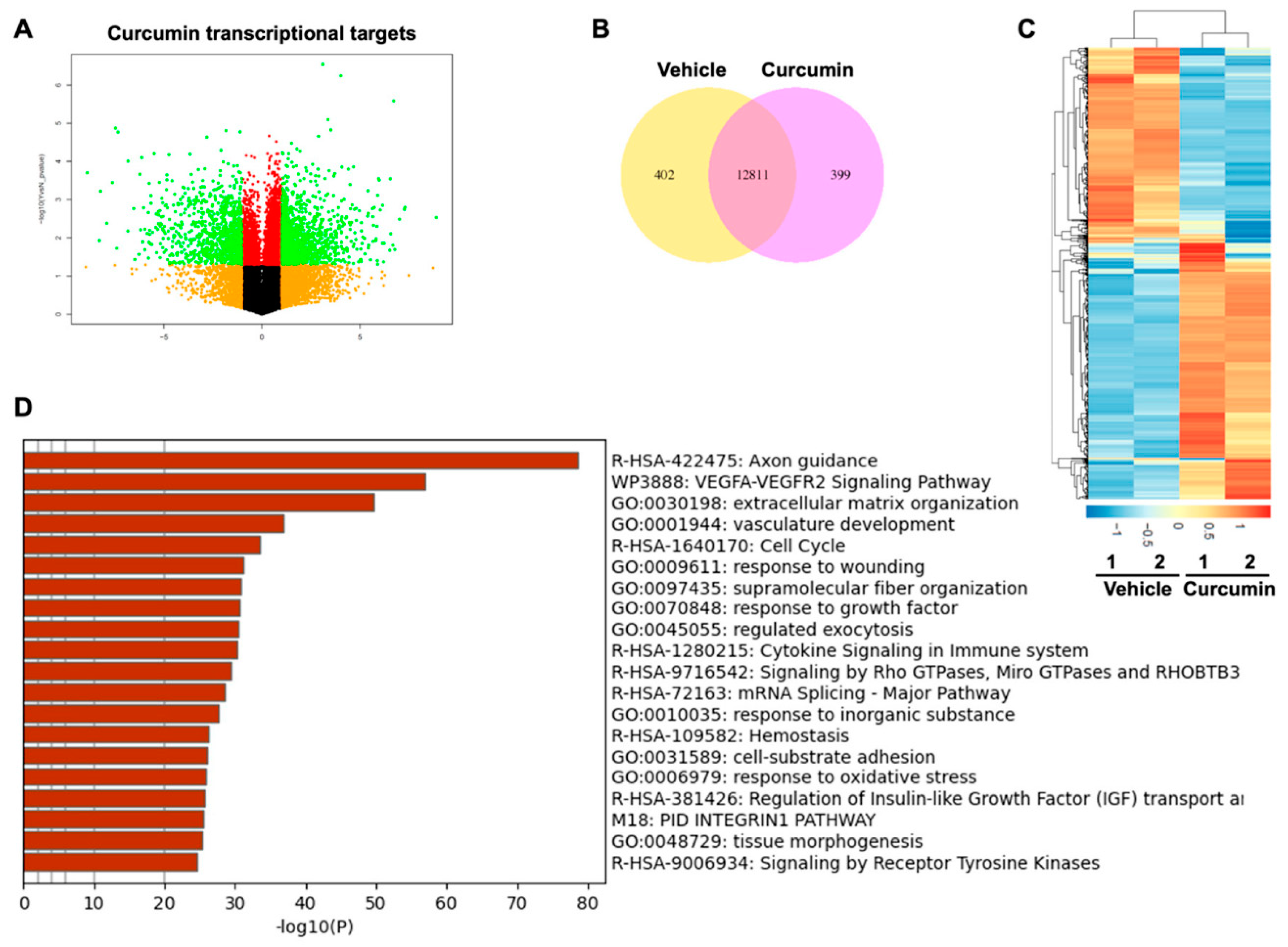 Ijms 23 04038 g001 550