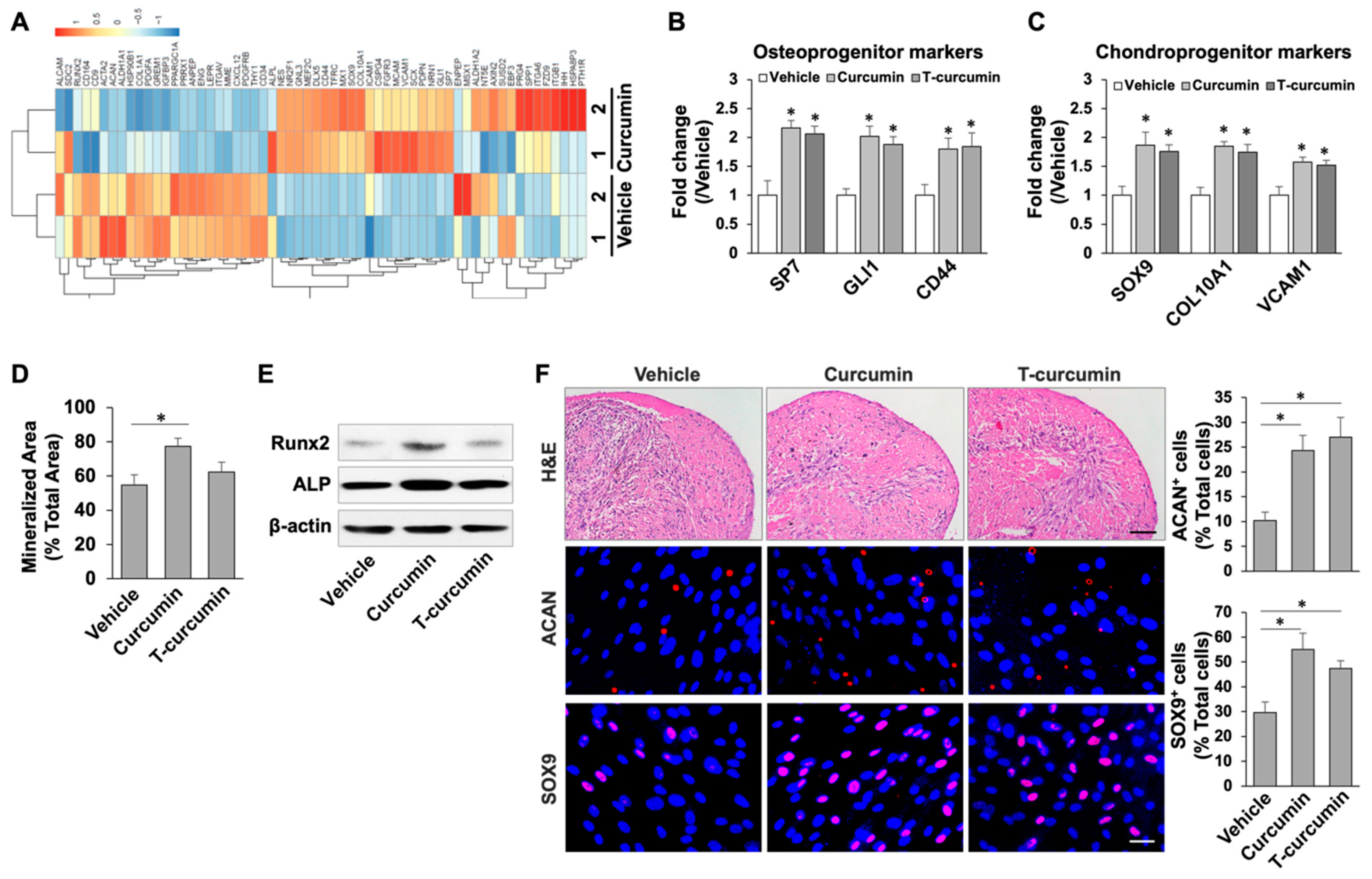 Ijms 23 04038 g003 550