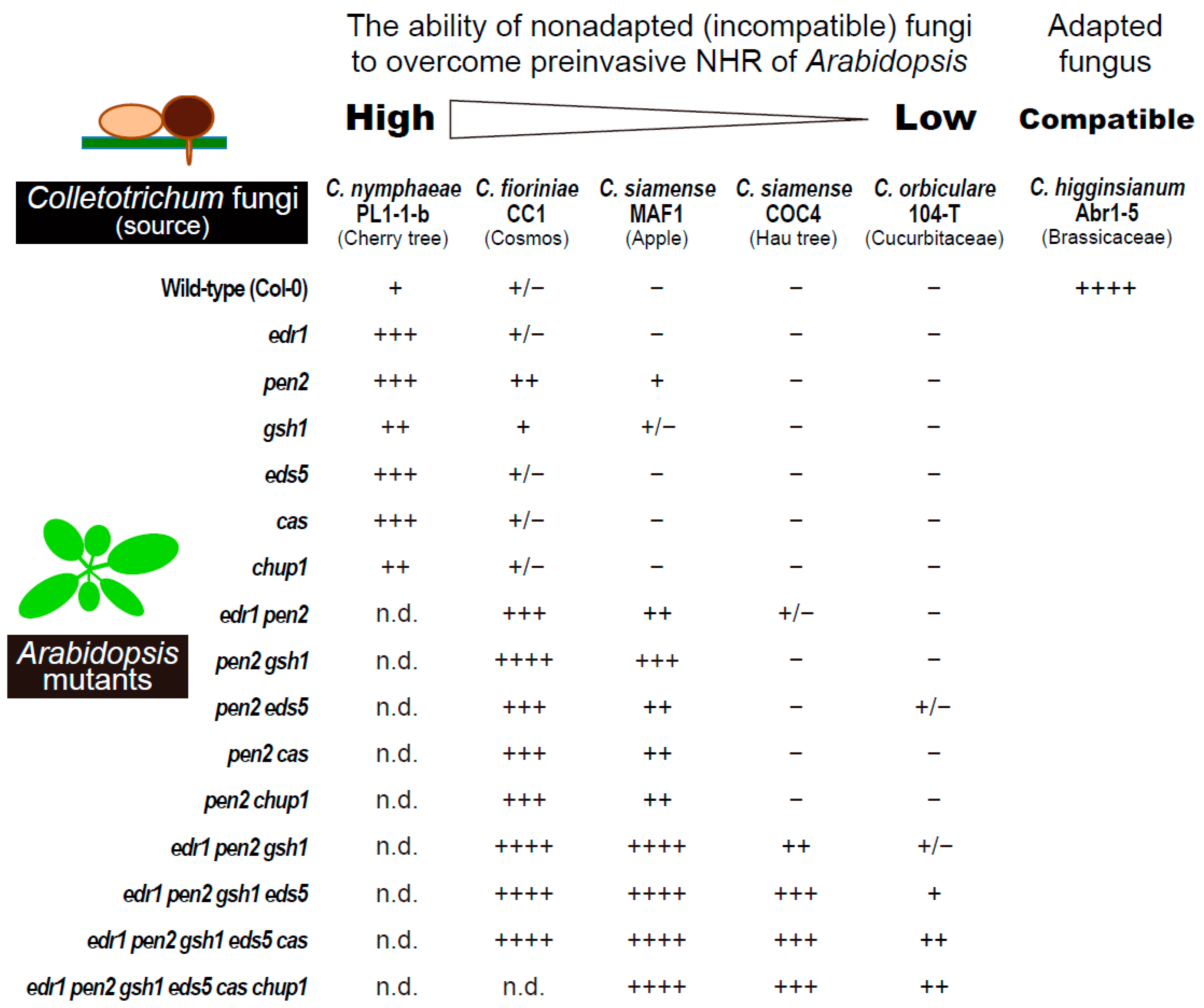 Ijms 23 04043 g002 550