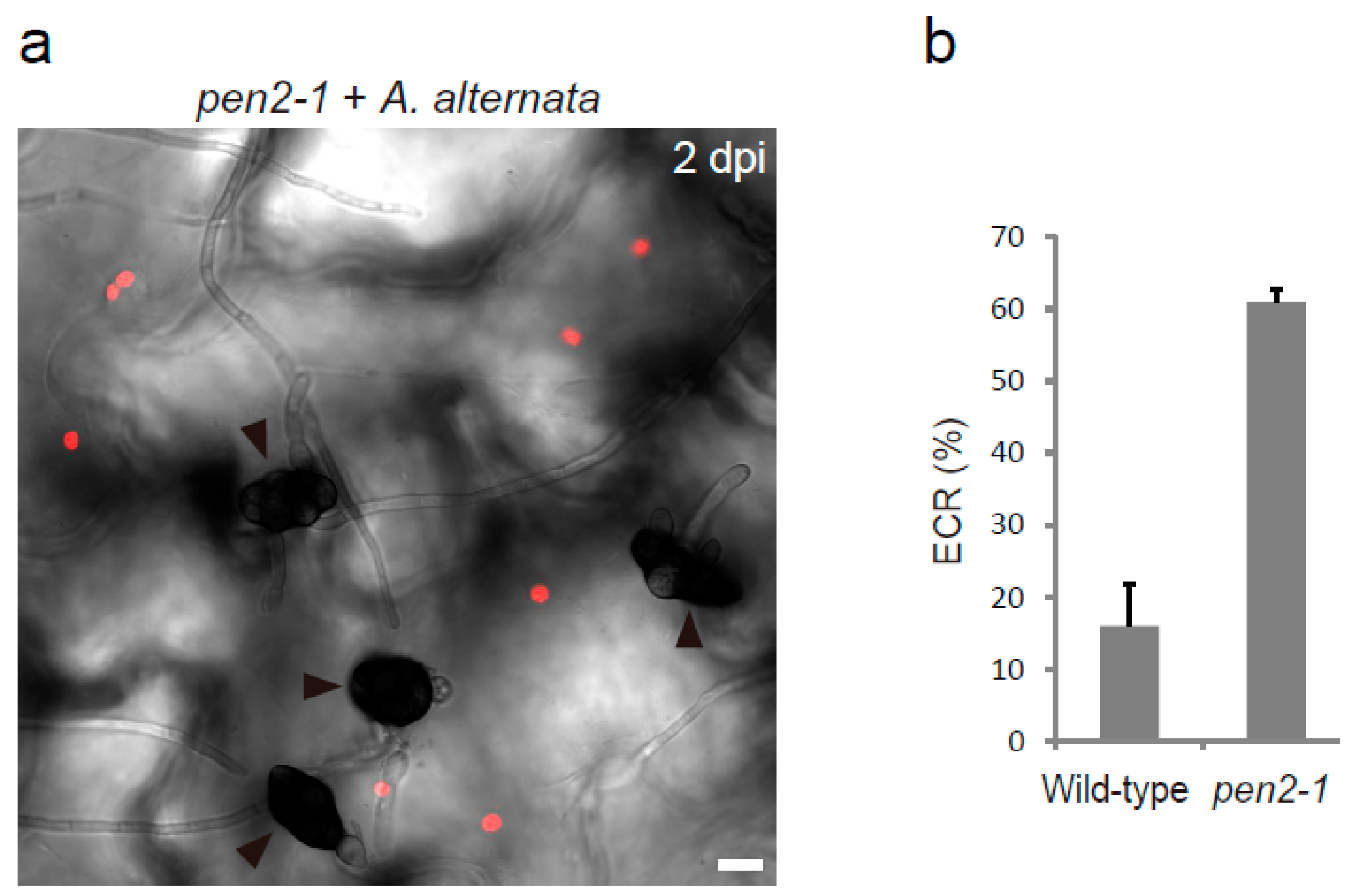 Ijms 23 04043 g003 550