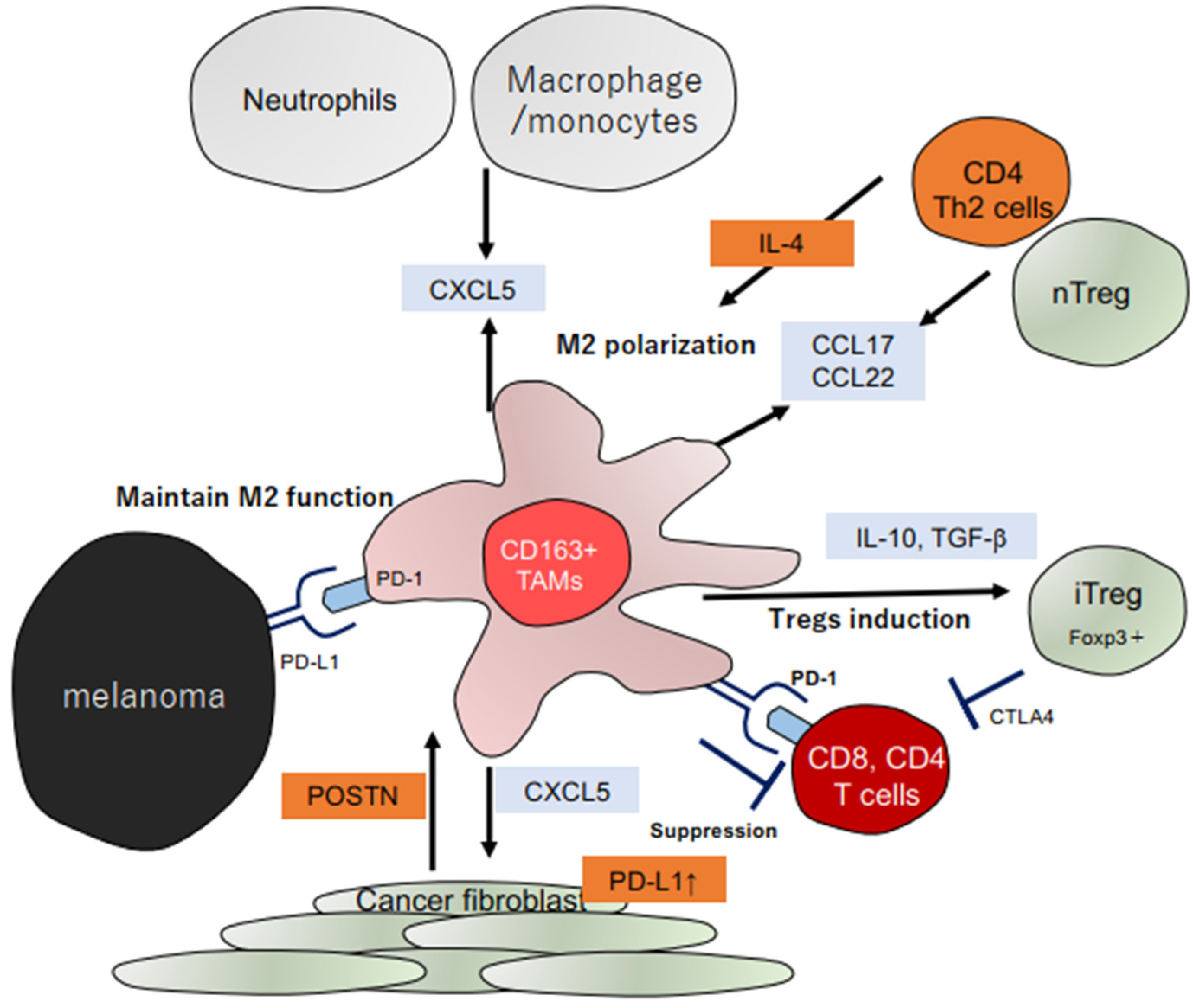Ijms 23 04044 g001 550