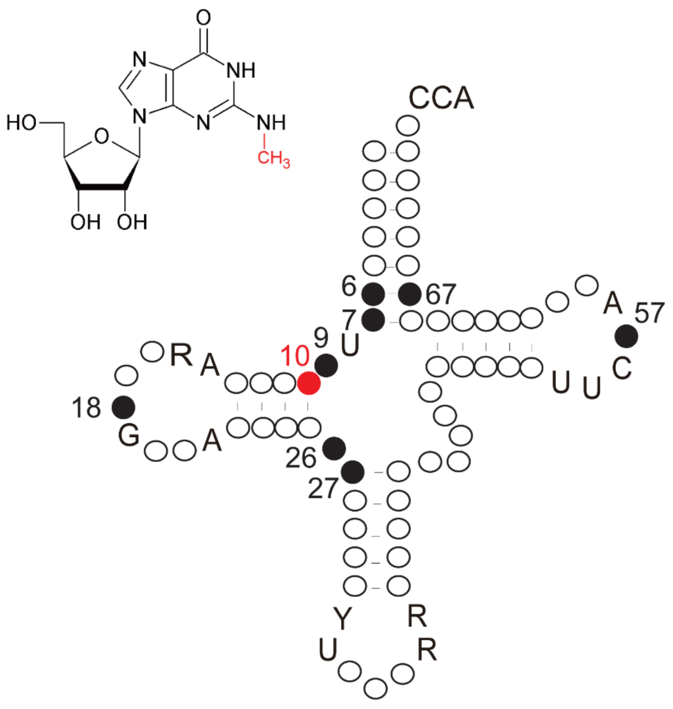 Ijms 23 04046 g001 550