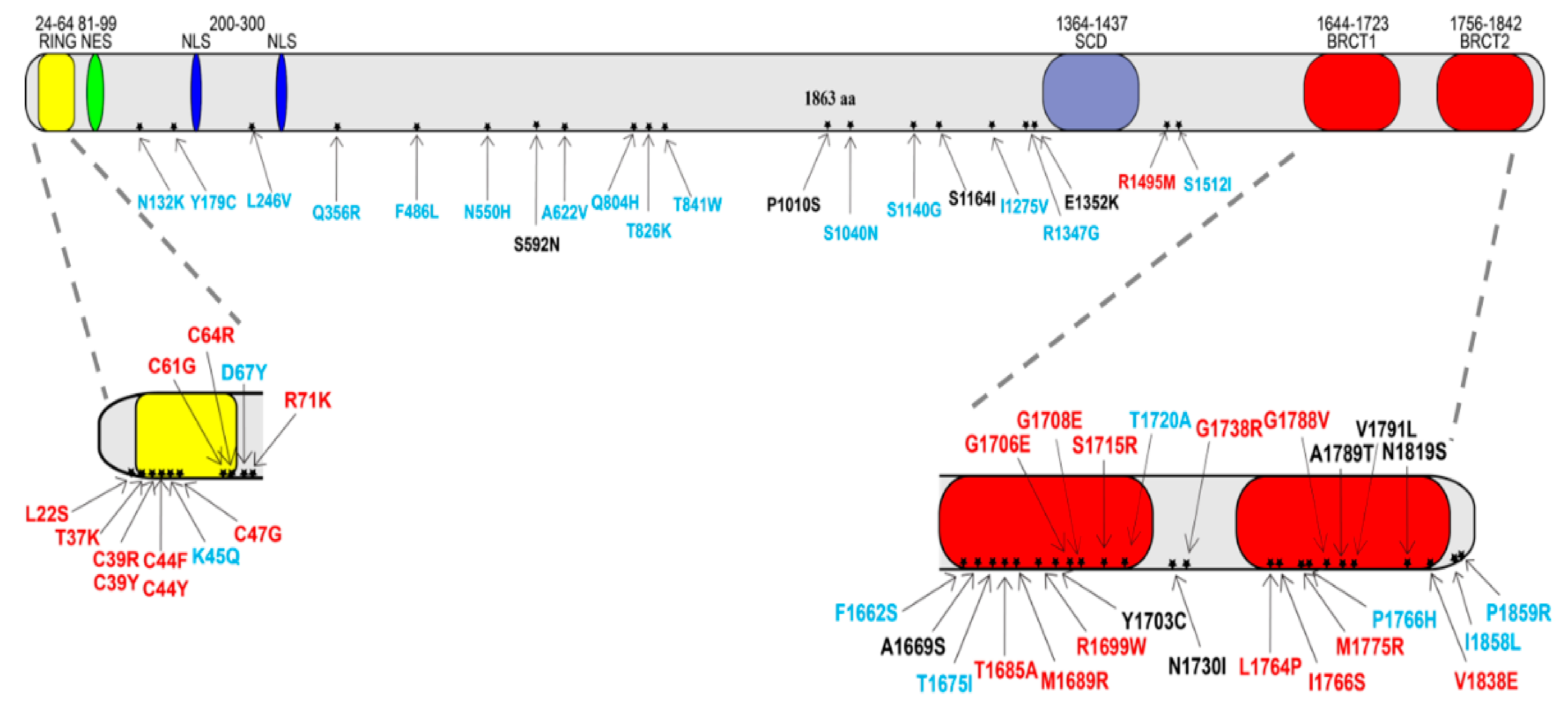 Ijms 23 04049 g001 Ijms 23 04049 g001