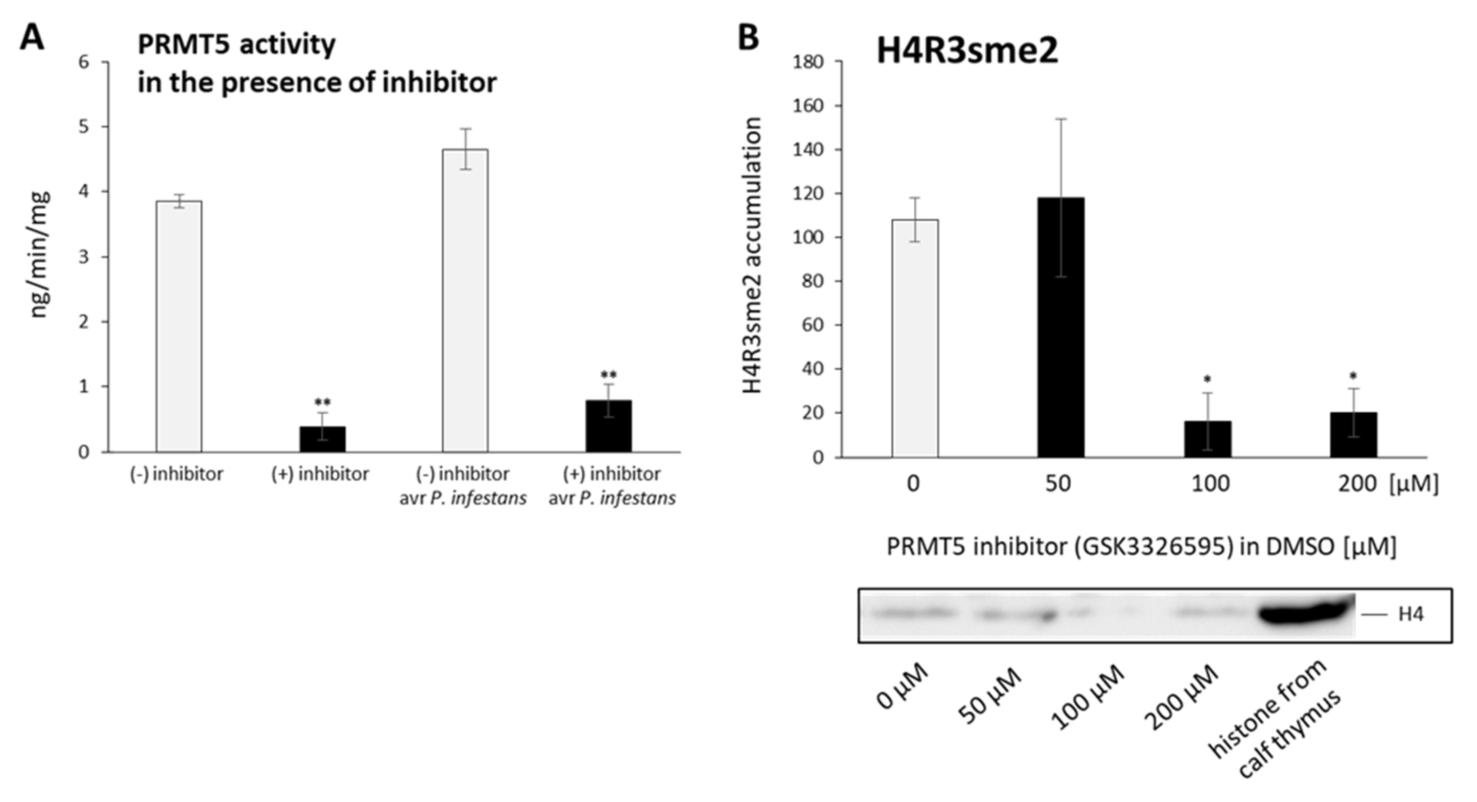 Ijms 23 04051 g006 550