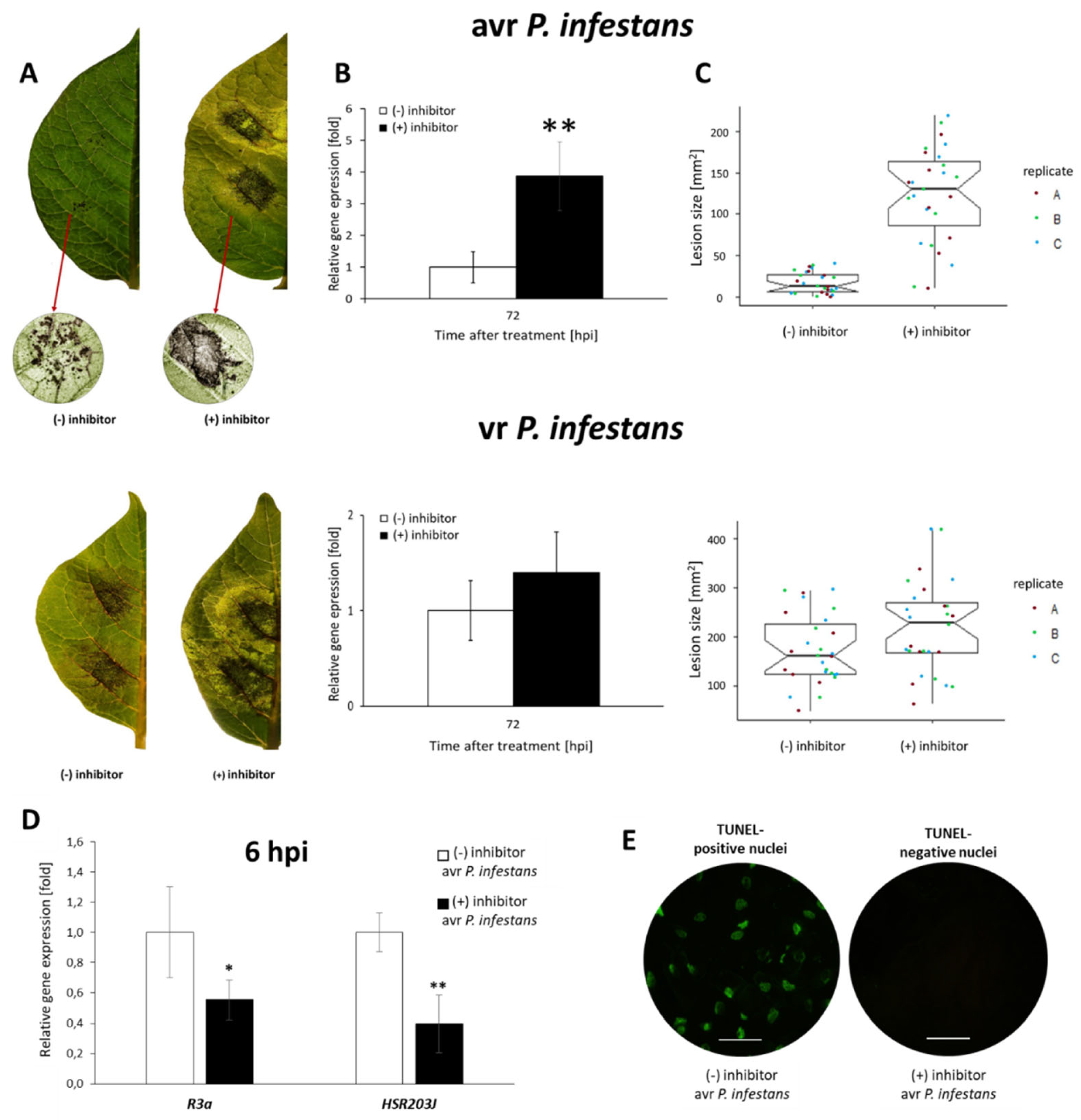 Ijms 23 04051 g008 550
