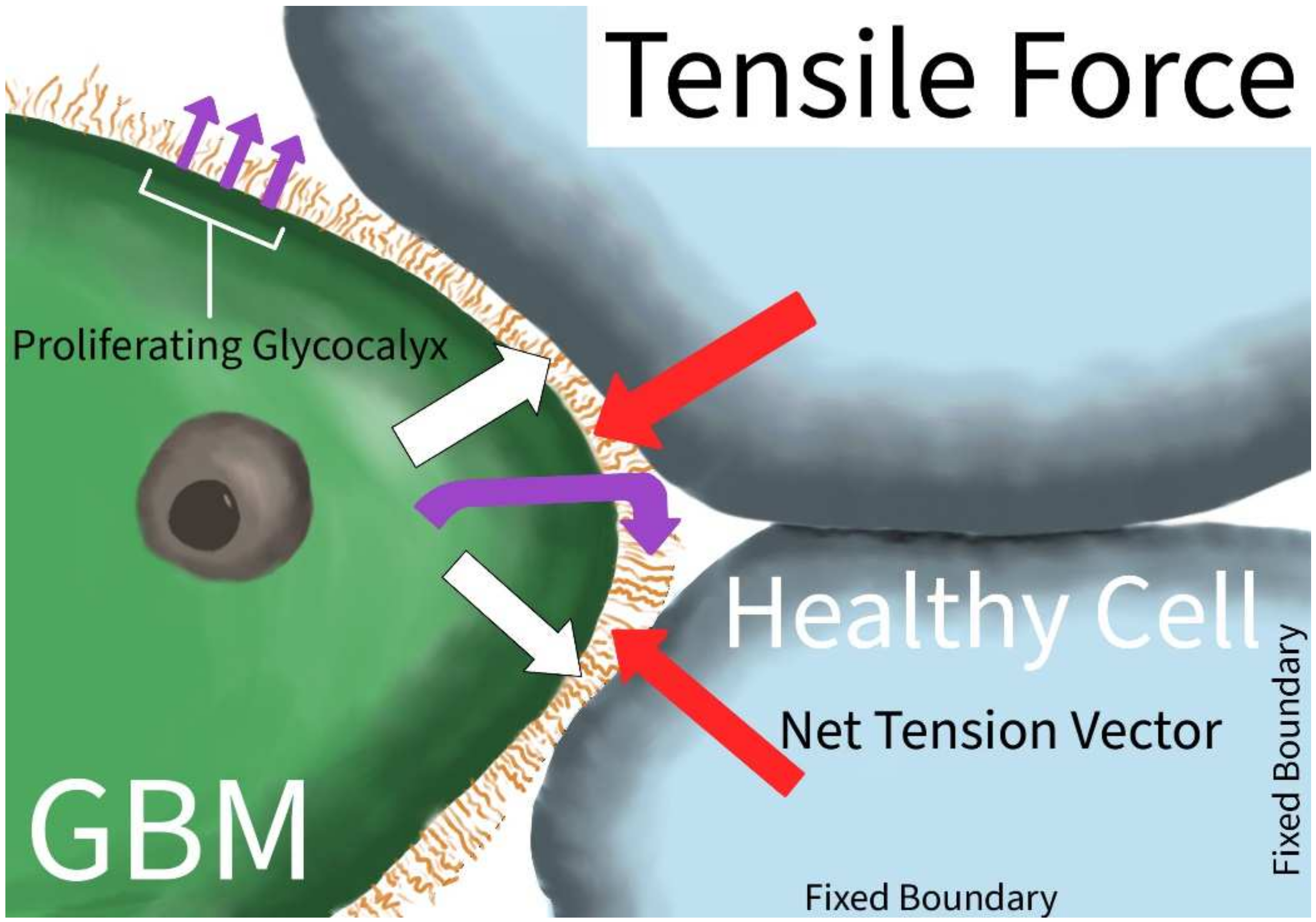 Ijms 23 04055 g002 550