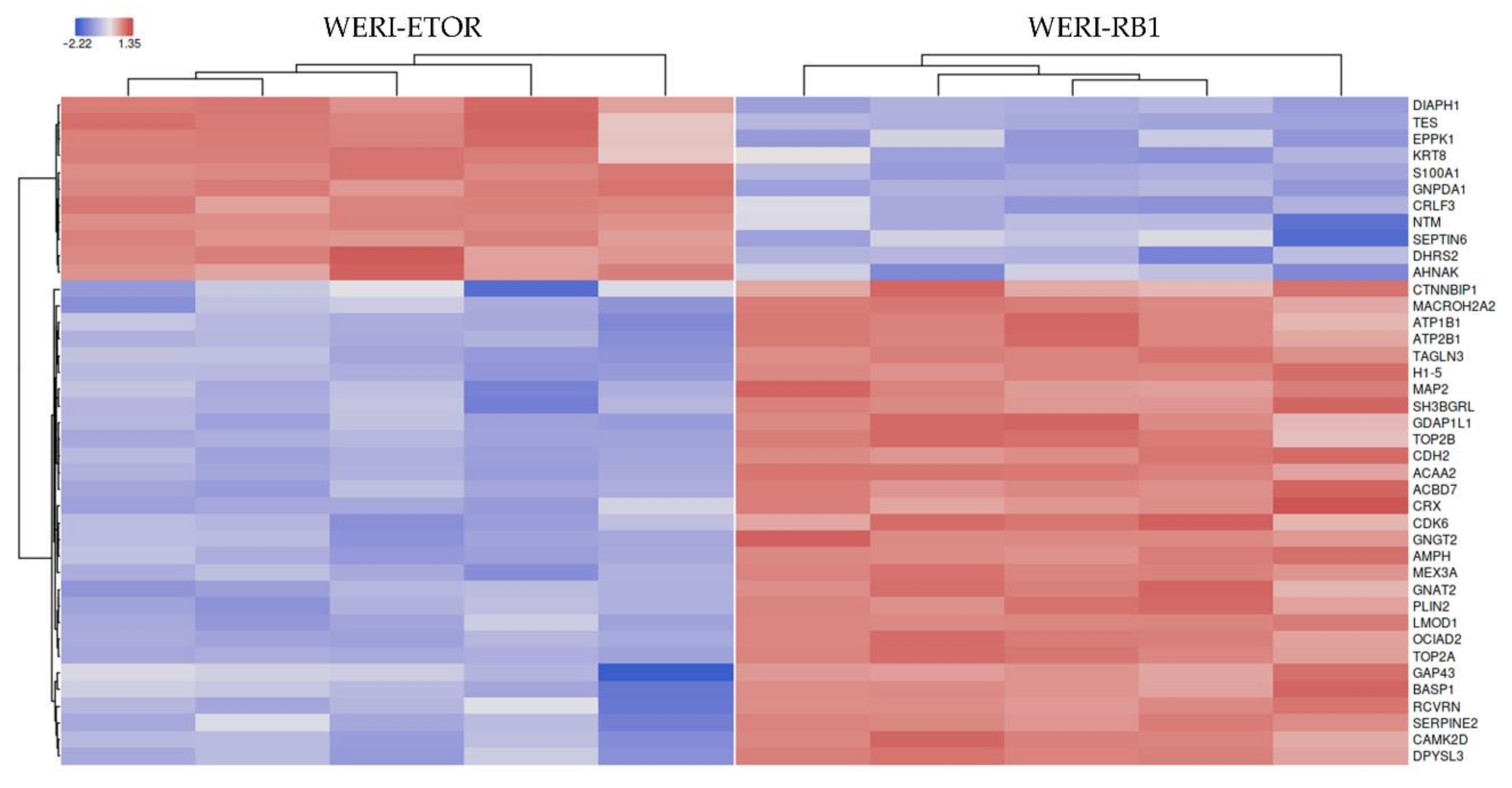 Ijms 23 04058 g003 550