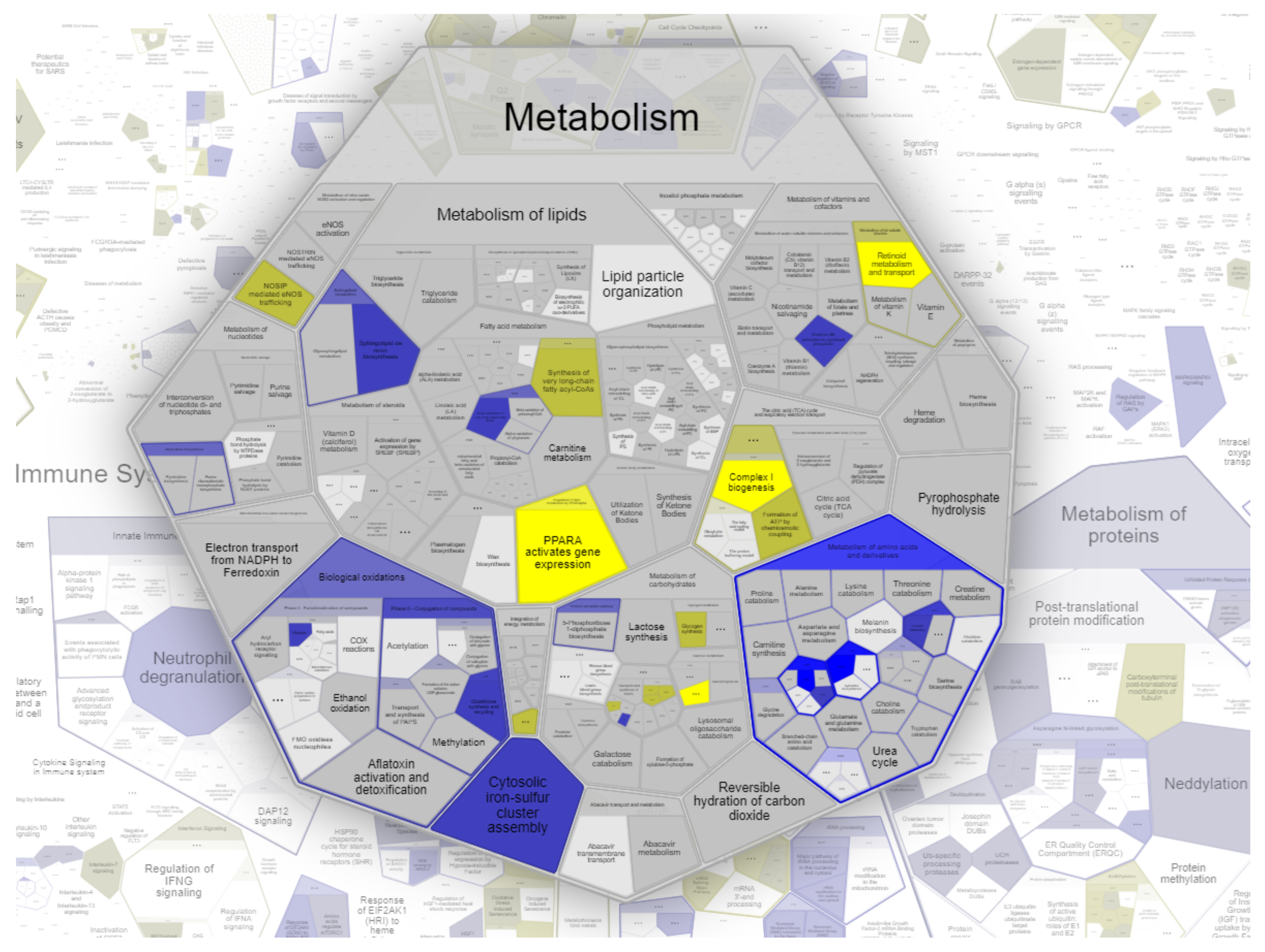 Ijms 23 04058 g004 550