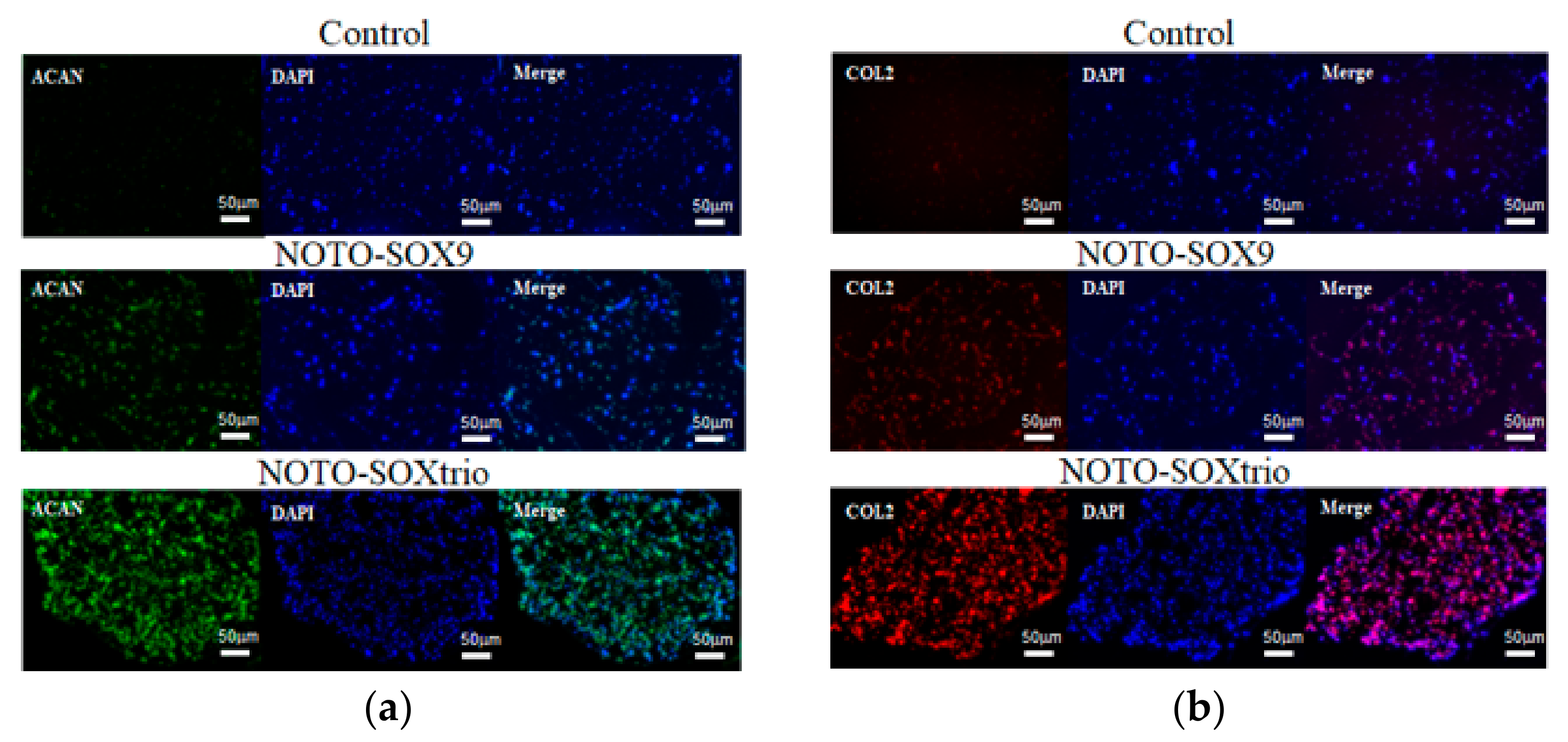 Ijms 23 04059 g003 550