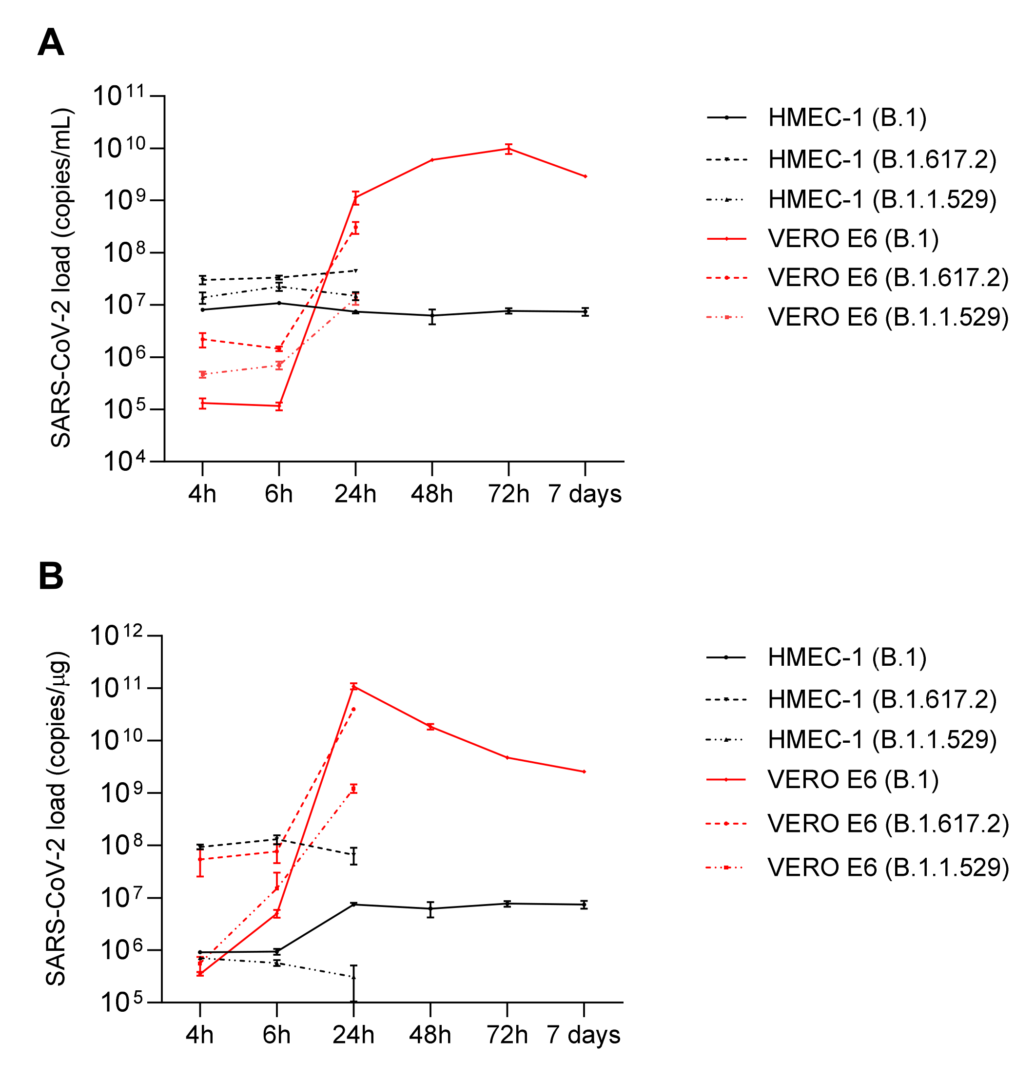 Ijms 23 04063 g002 Ijms 23 04063 g002