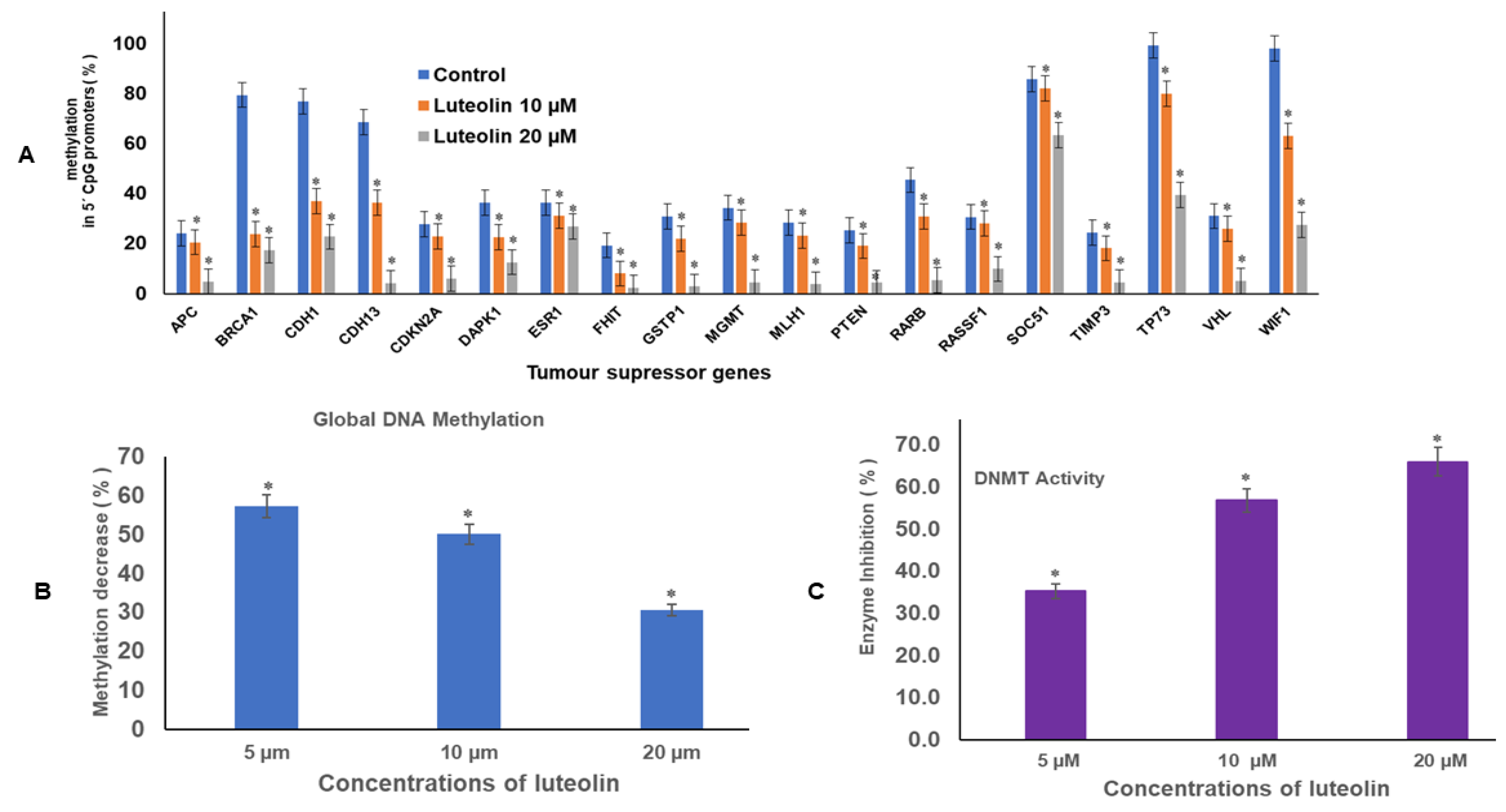 Ijms 23 04067 g001 Ijms 23 04067 g001