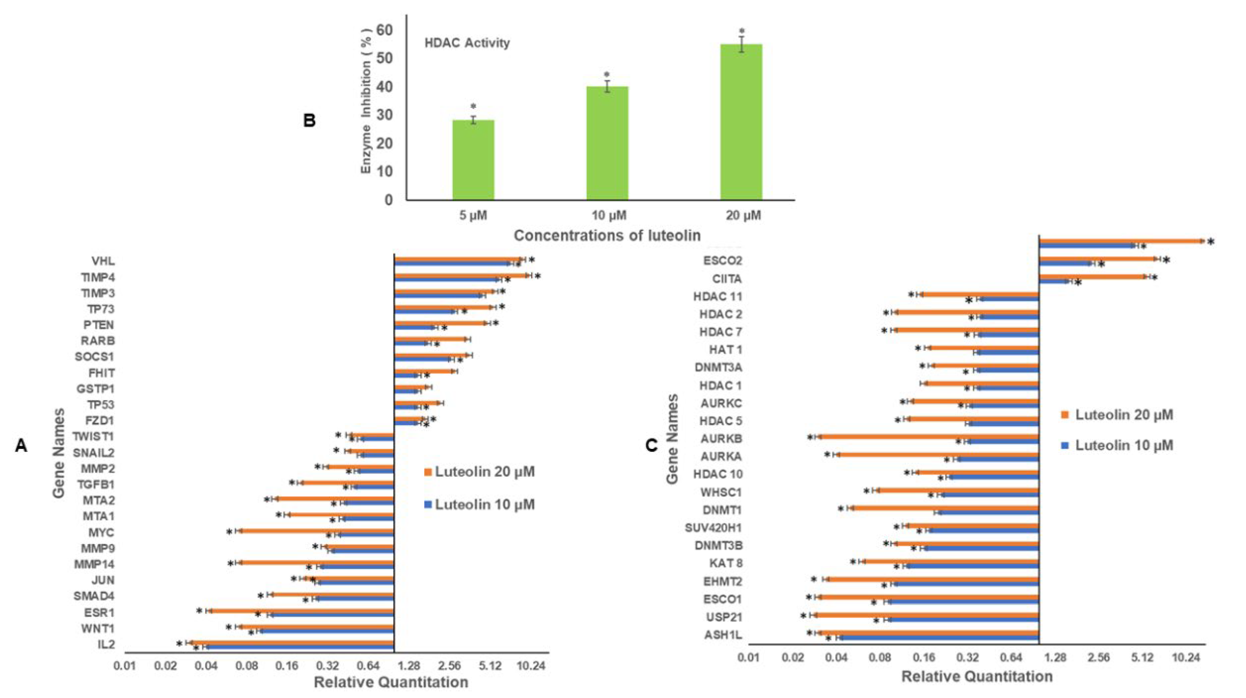 Ijms 23 04067 g002 Ijms 23 04067 g002