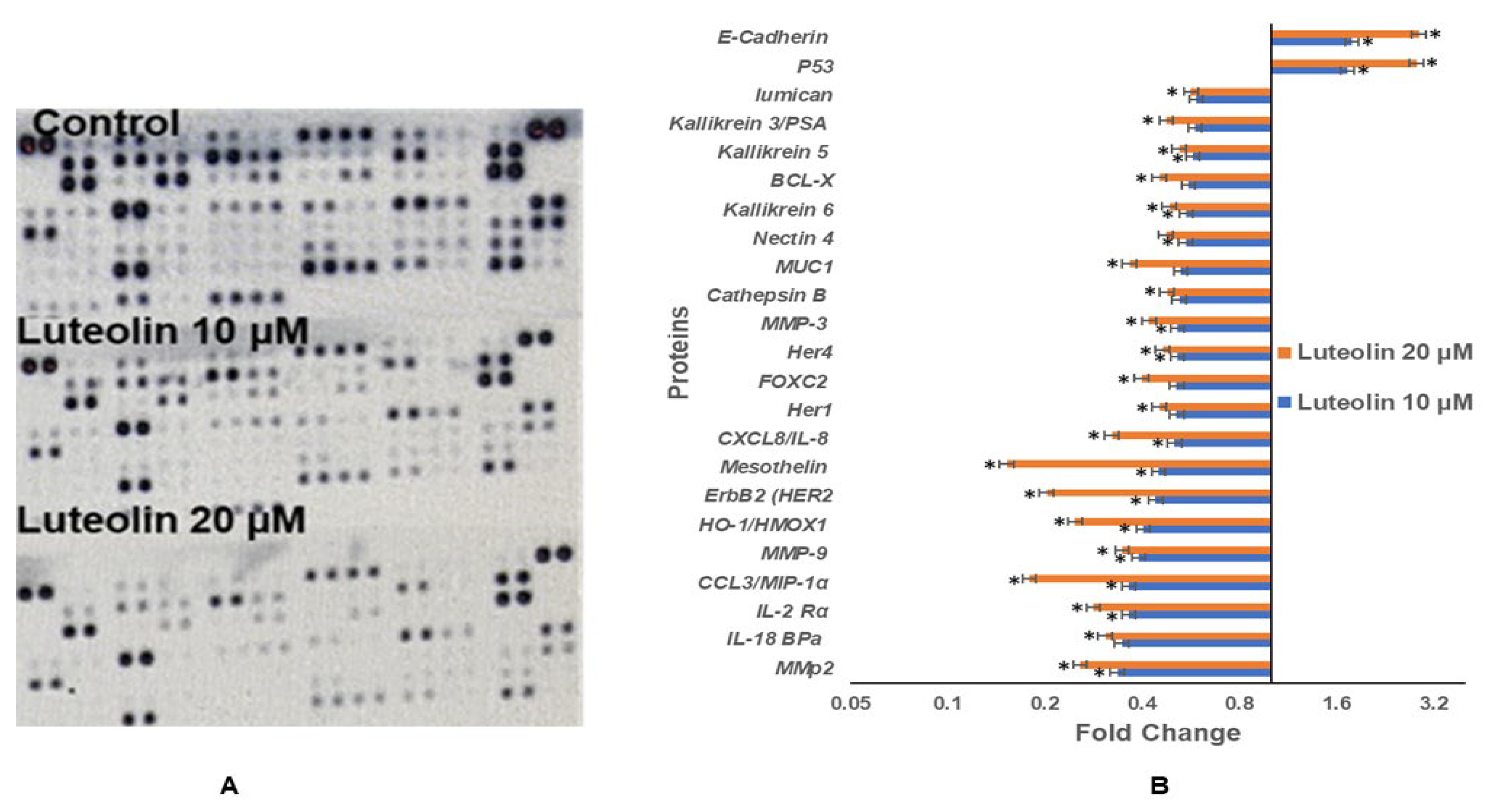 Ijms 23 04067 g004 Ijms 23 04067 g004