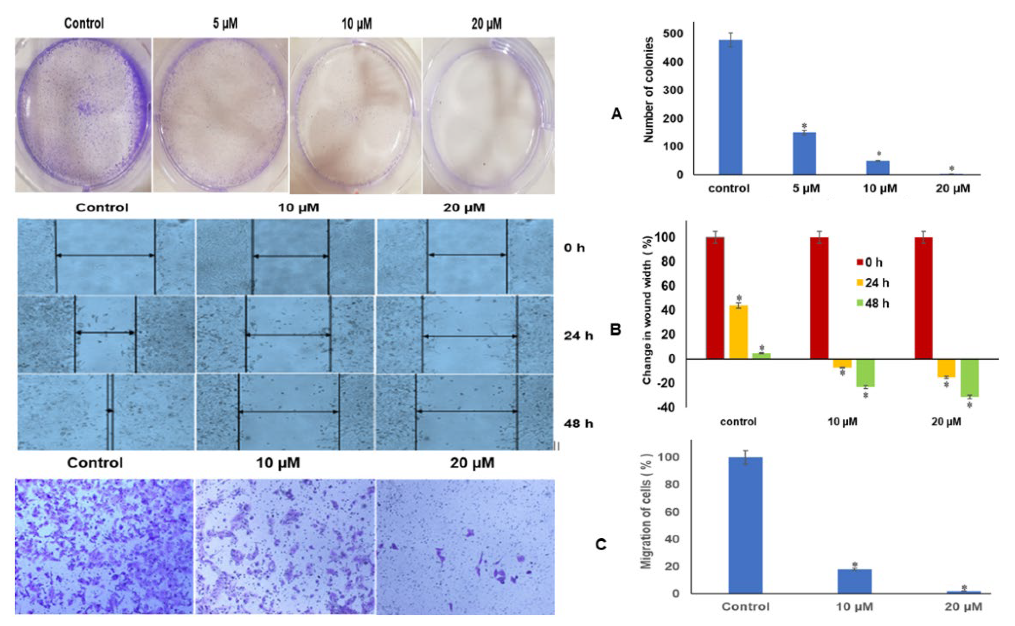 Ijms 23 04067 g005 Ijms 23 04067 g005