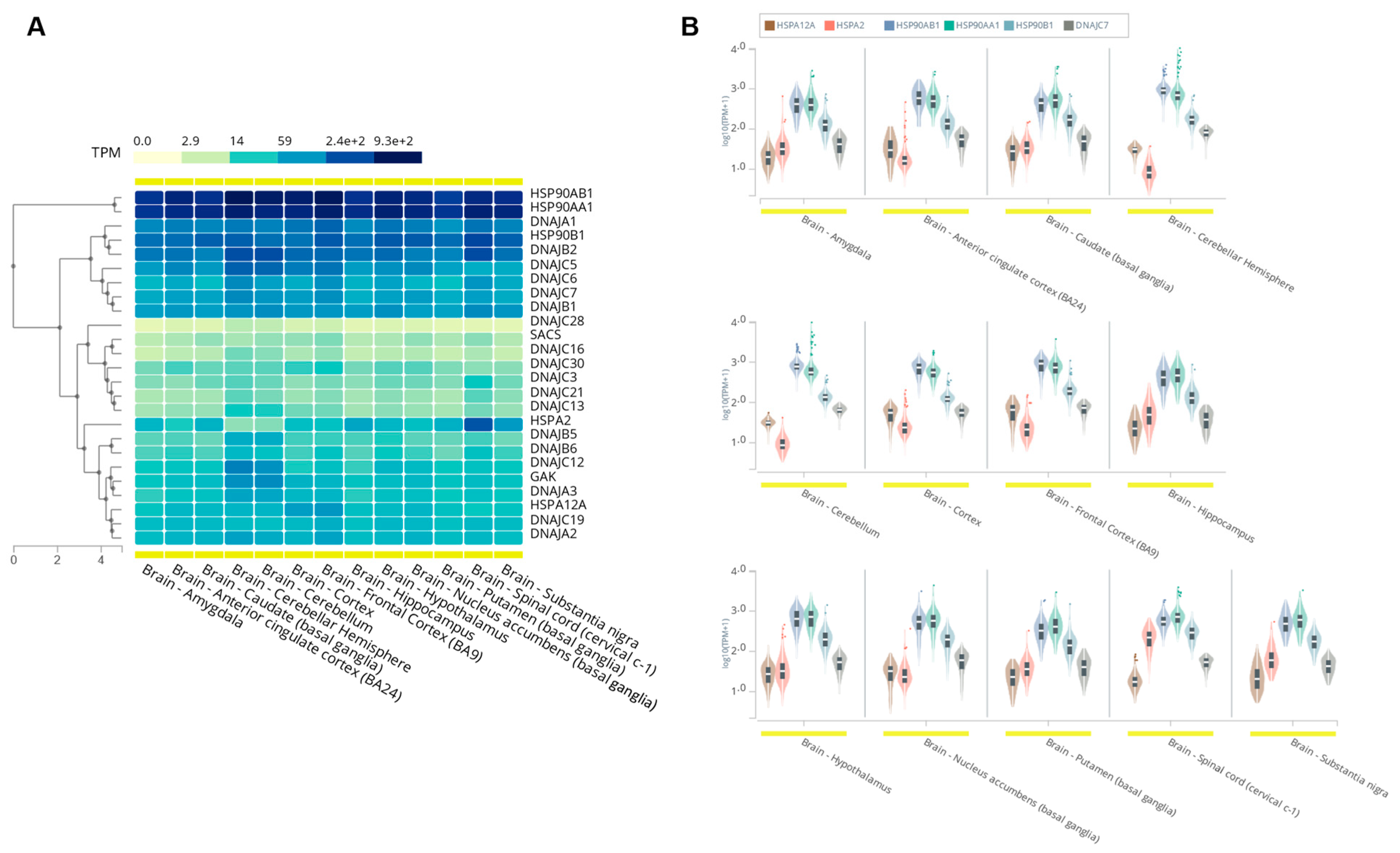 Ijms 23 04076 g003 550