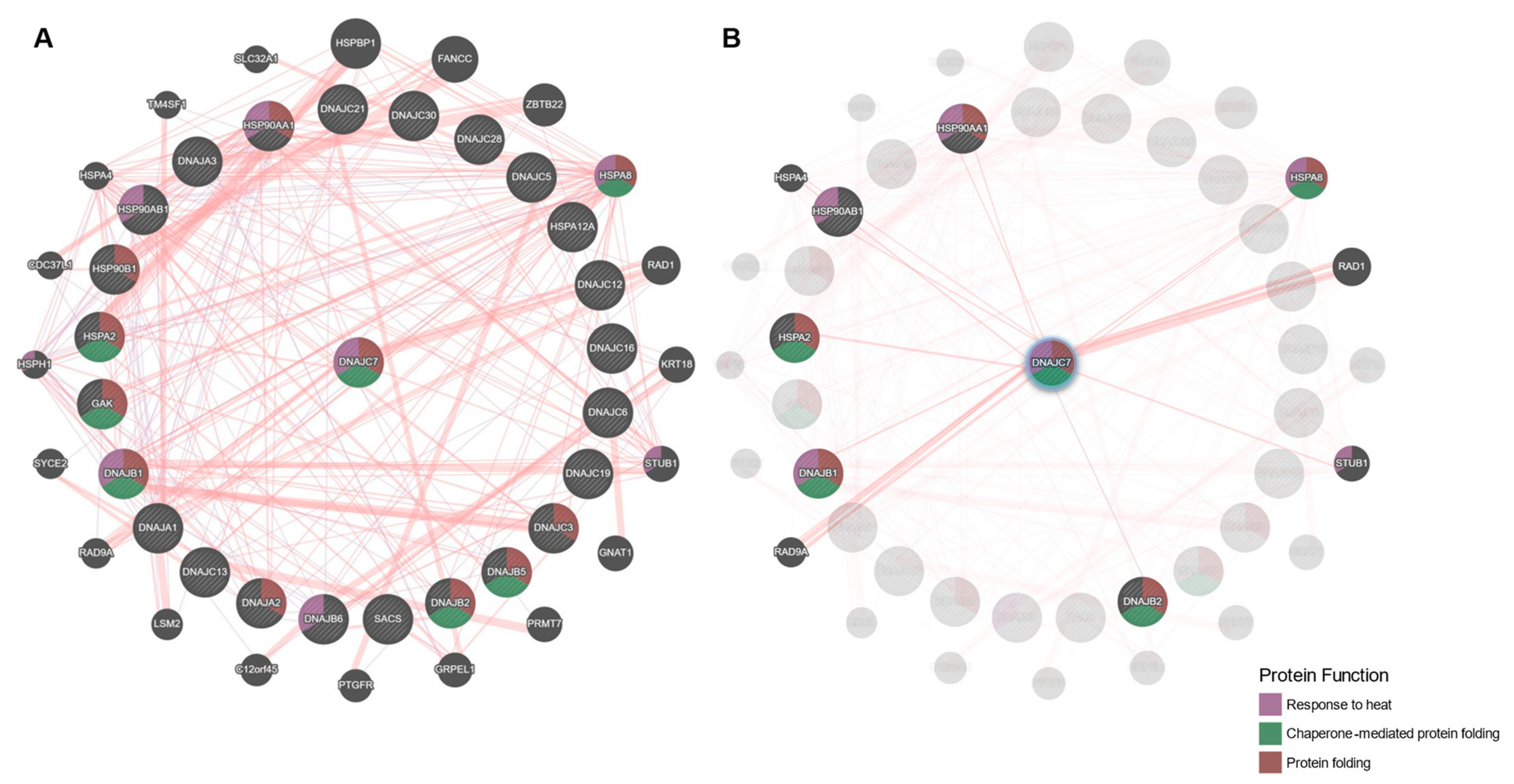 Ijms 23 04076 g004 550