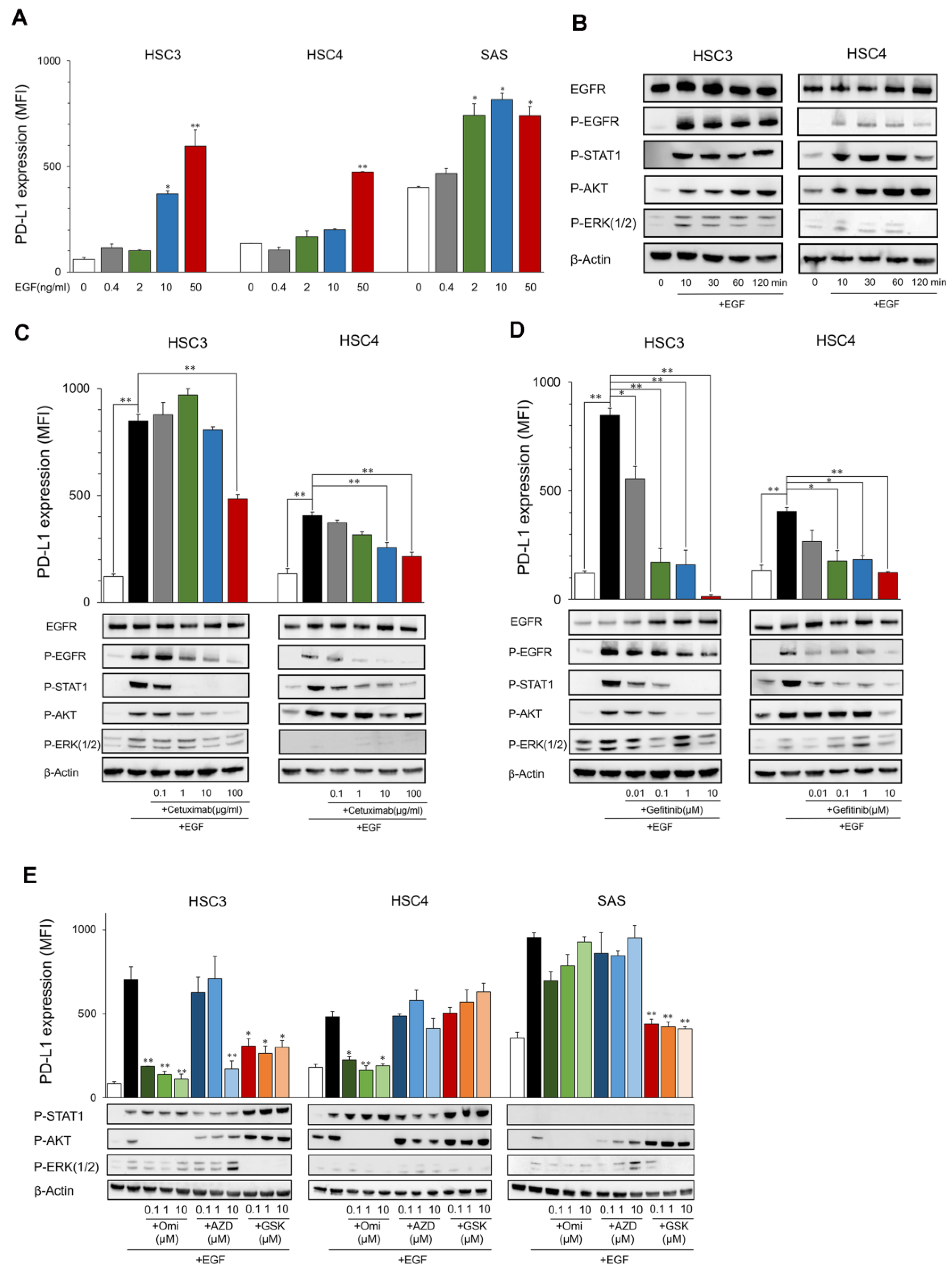 Ijms 23 04077 g001 550
