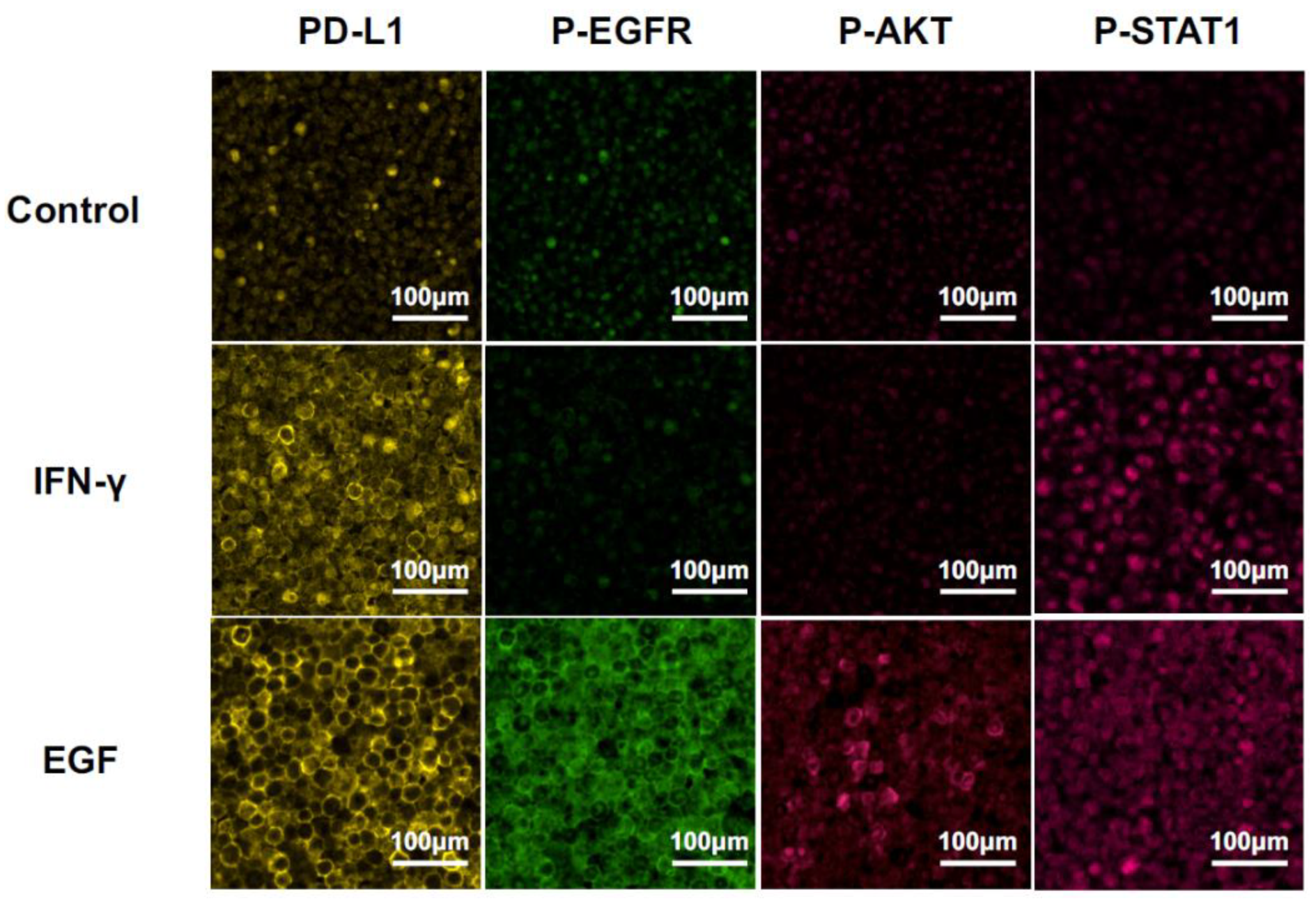 Ijms 23 04077 g003 550