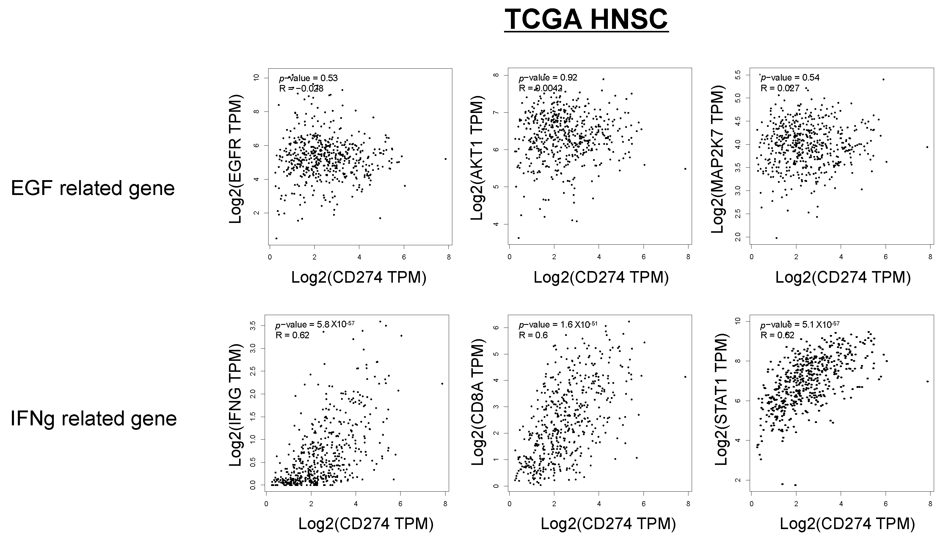 Ijms 23 04077 g006 550