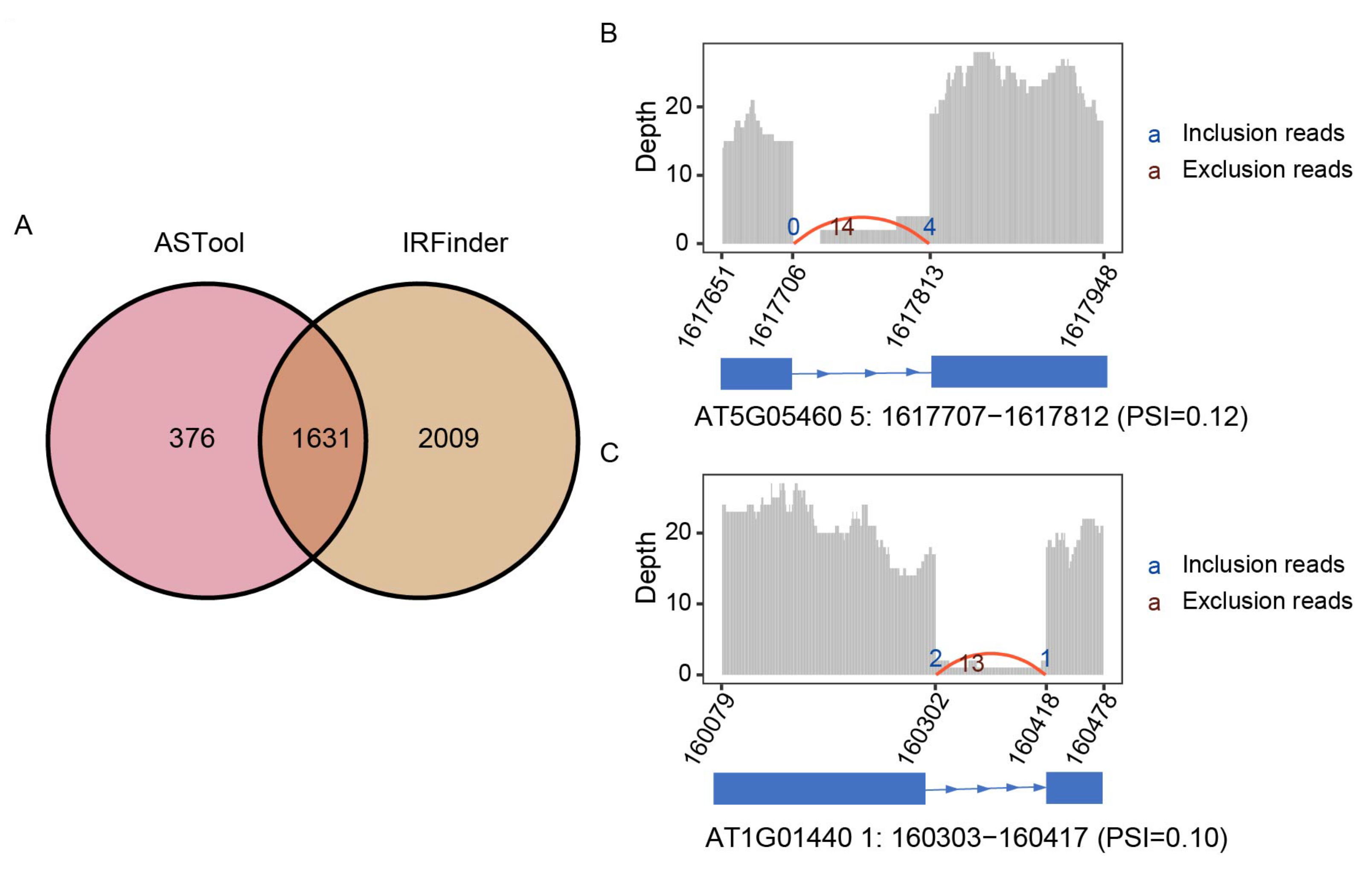 On performanceT サイズM Masked graph autoencoder-based multi-agent dynamic