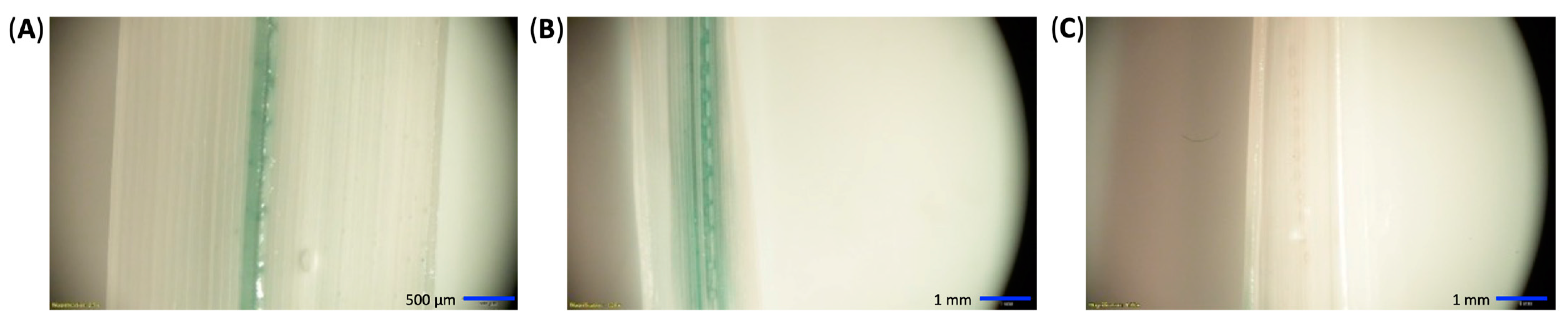 Ijms 23 04081 g006 550