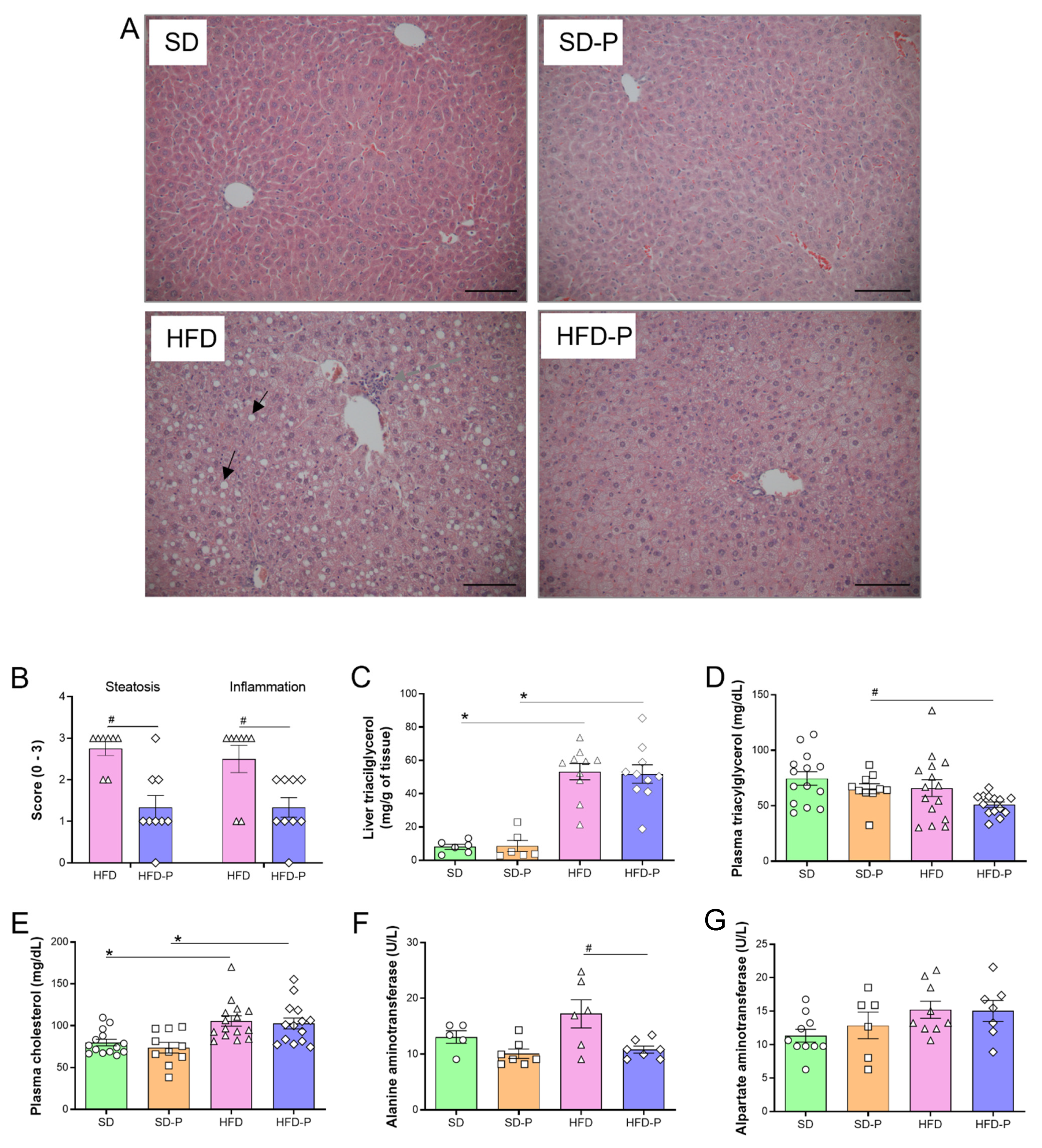 Ijms 23 04082 g003 550