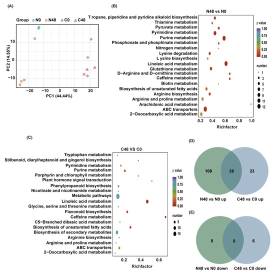 Taxonomic Revision | SpringerLink