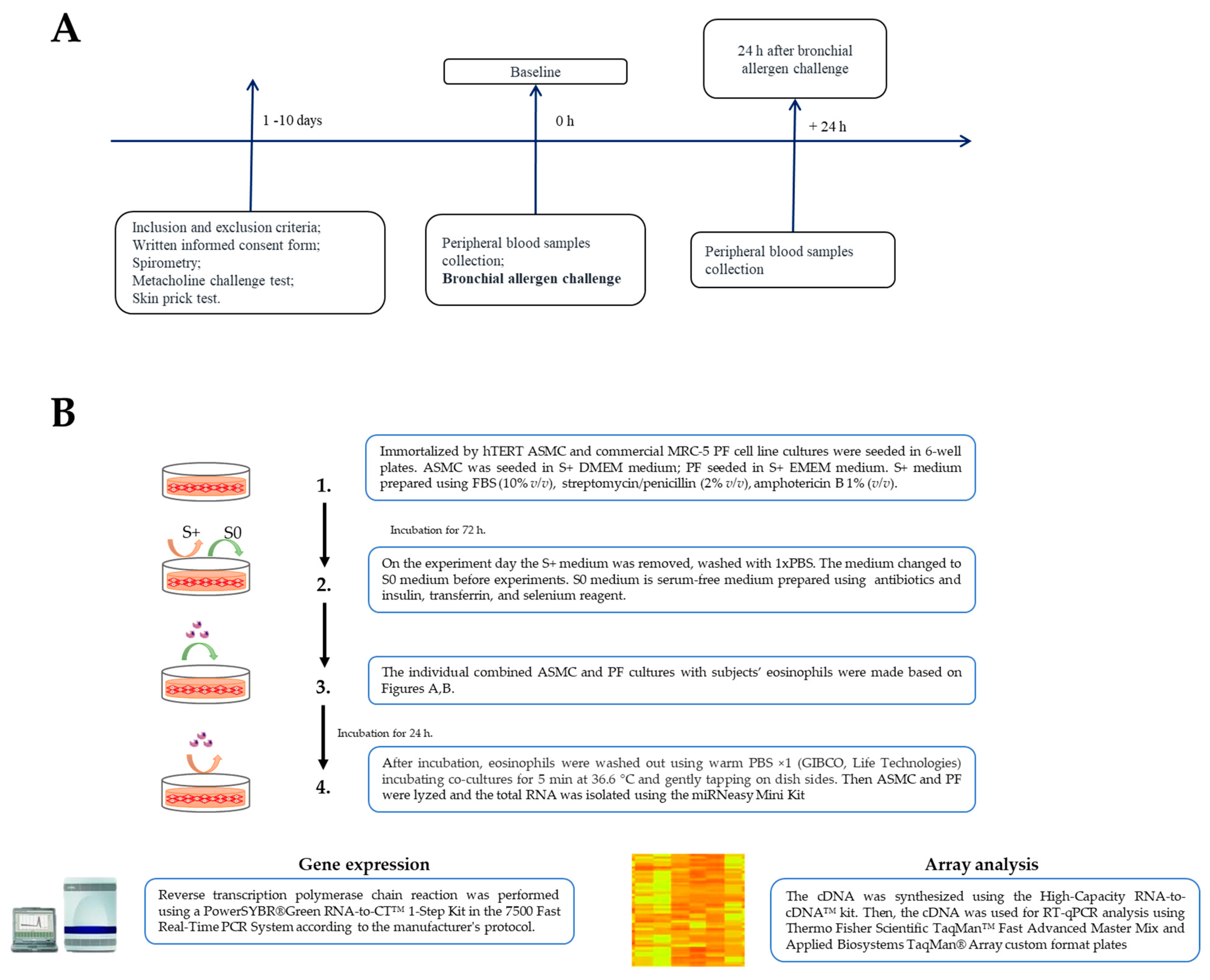 Ijms 23 04086 g007 Ijms 23 04086 g007