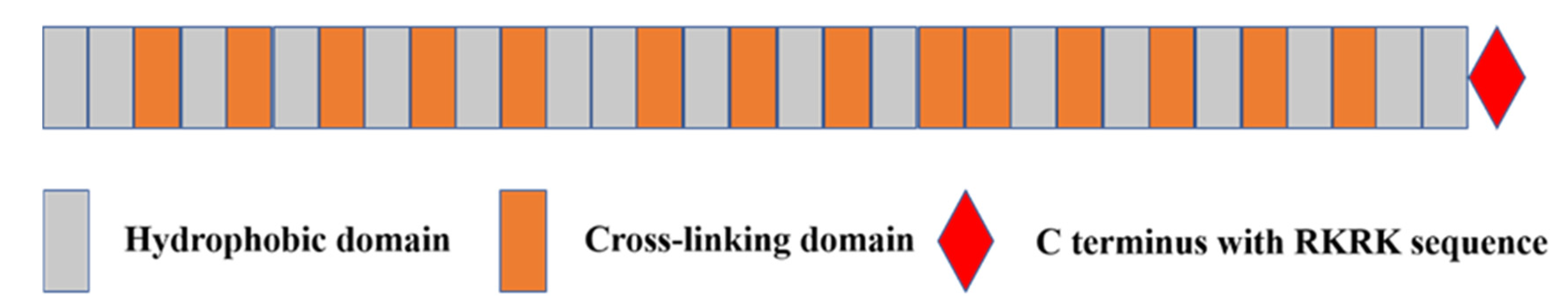 Ijms 23 04087 g002 550